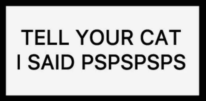 tell your cat i said pspspsps
