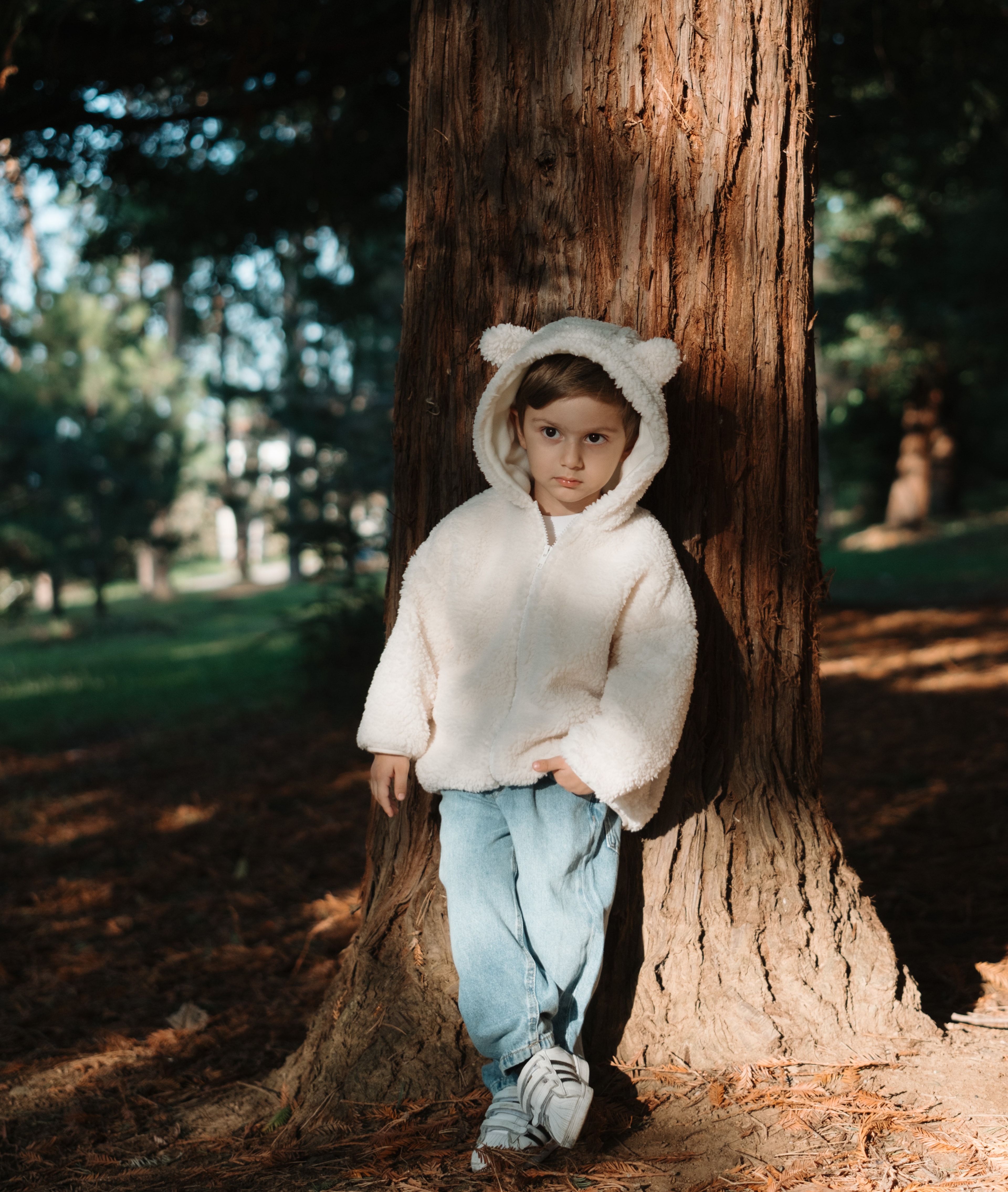 Kapüşonlu Teddy Mont