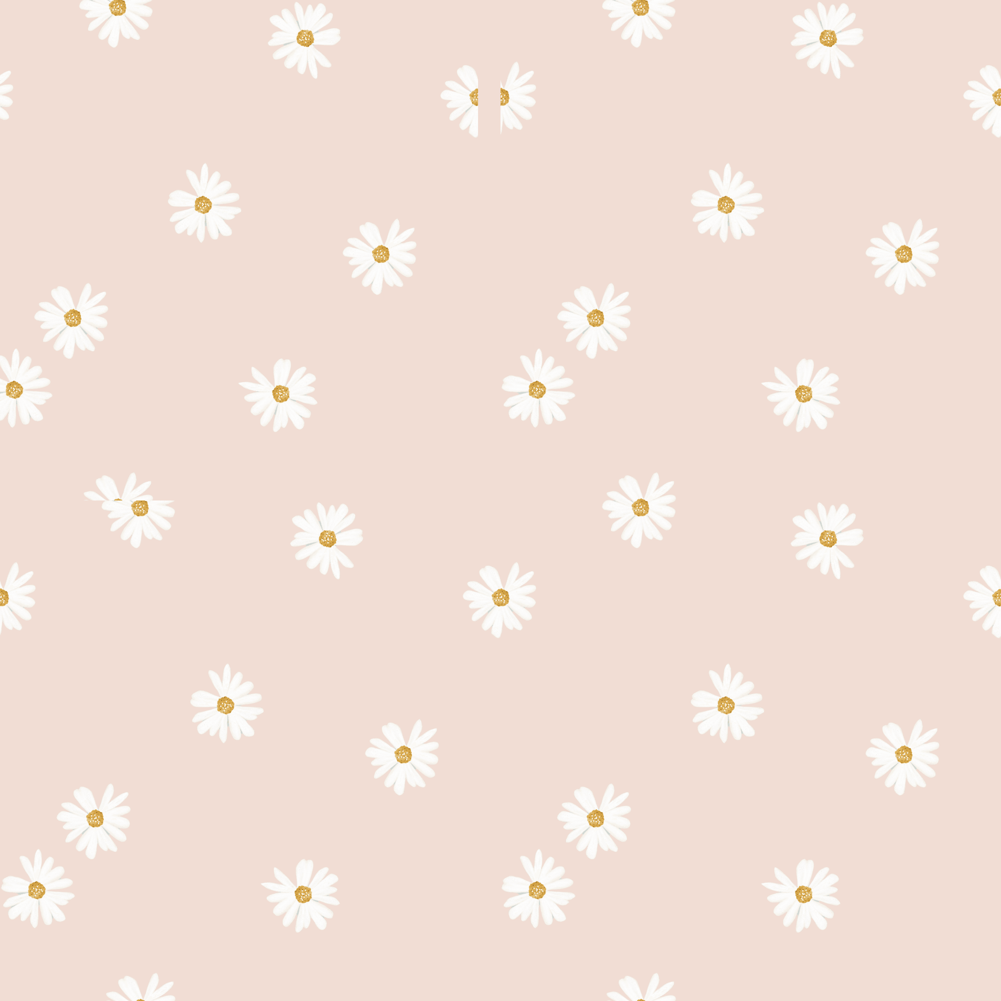 Pink Daisy