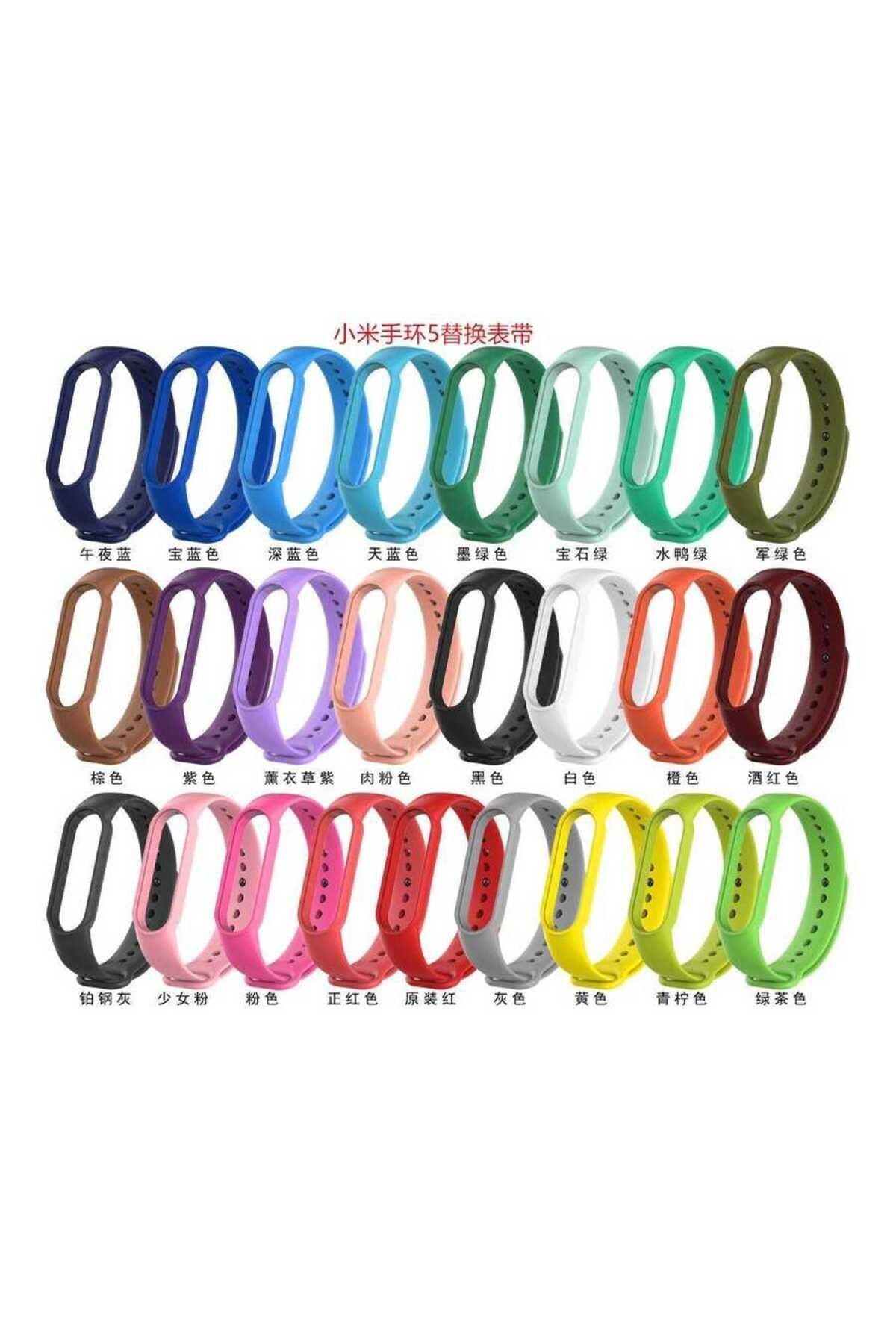 Xiaomi Mi Band 6 Uyumlu Klasik Zore Kordon-NO14