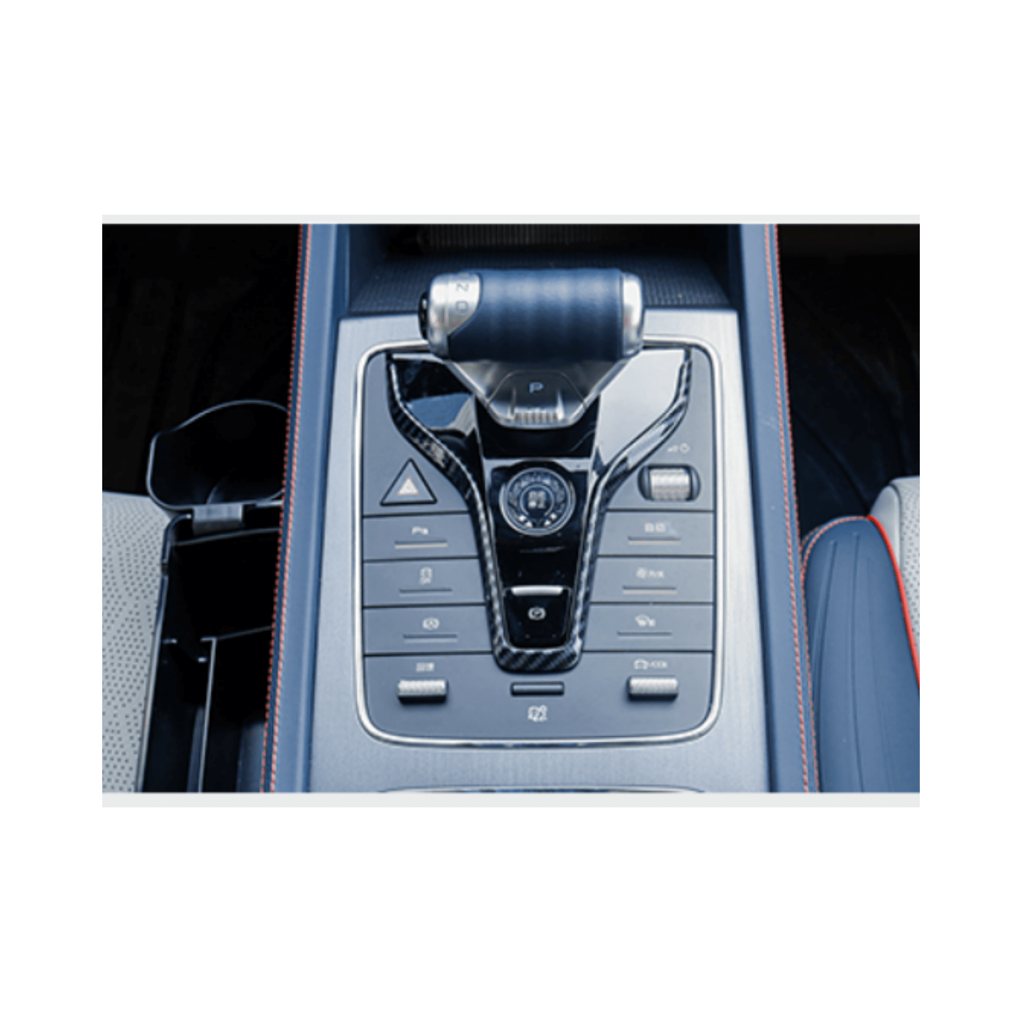 BYD Atto 3 Vites Paneli Karbon Fiber U Çerçeve