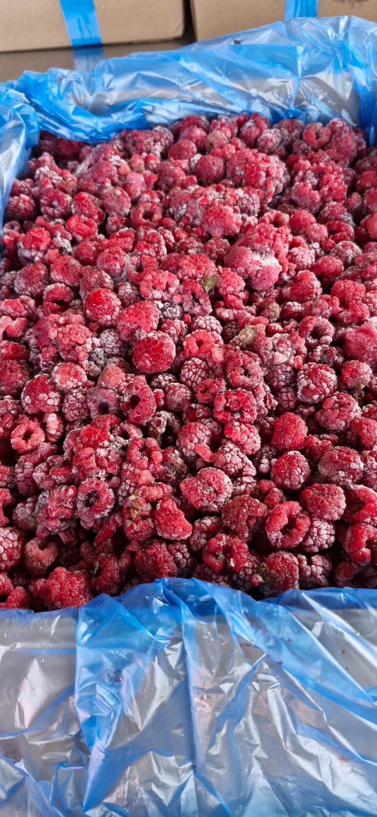 Ahududu (750 Gr)
