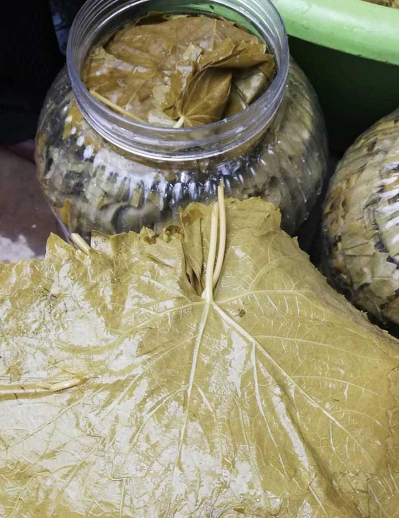 Salamura Yaprak  5Kg Bidon (2,5 -3 Kg) Yeni Sezon Ürünü (Ön Sipariş Alınmaktadır )