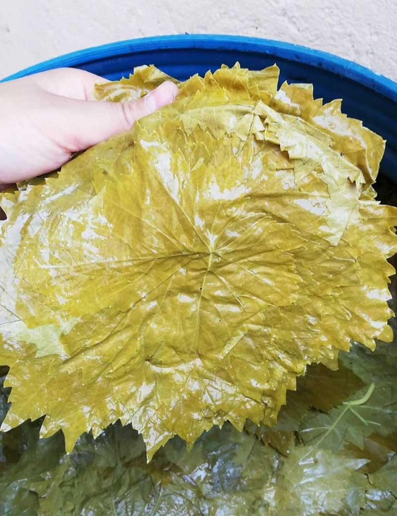 Salamura Yaprak 3 Kg Bidon (1,600 Gr -2 Kg)