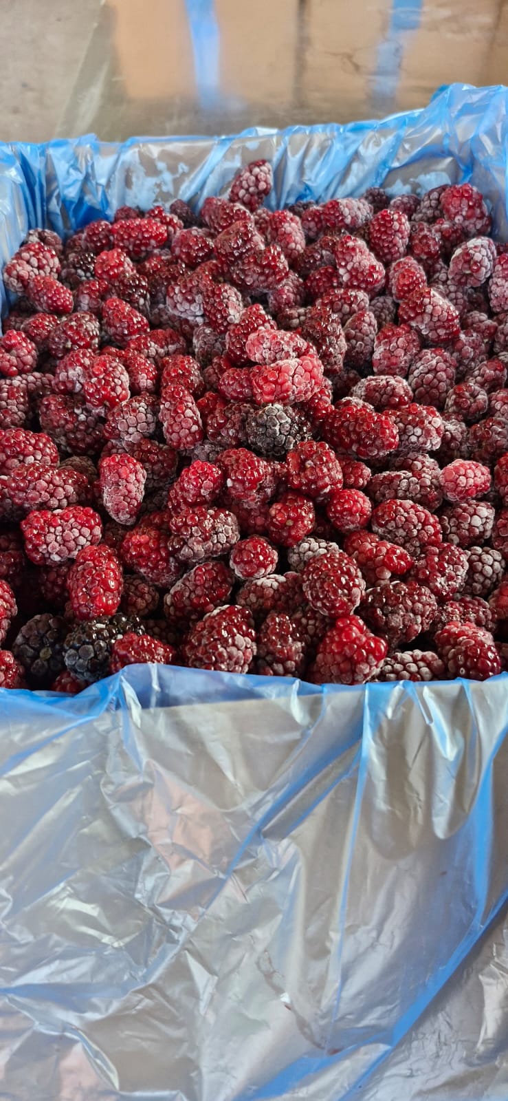 Böğürtlen Reçeli (750 Gr)