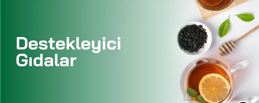 Destekleyici Gıdalar