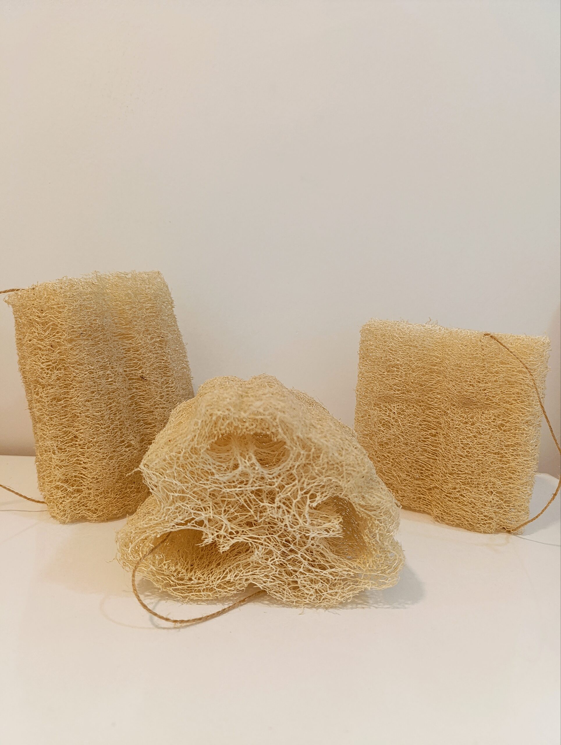 Doğal Kabak Lifi - 15cm