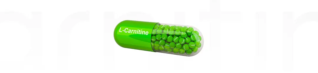 l carnitine kimler kullanamaz Karnitin (L-Carnitine) Nedir? Kullanım Alanları ve Etkileri