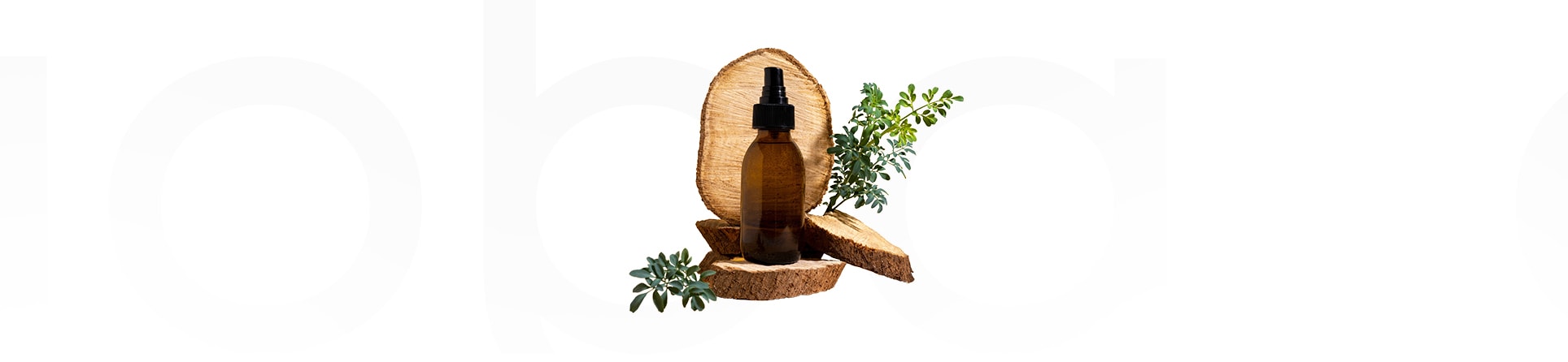 Jojoba Yağı: Faydaları, Kullanım Alanları ve Etkileri