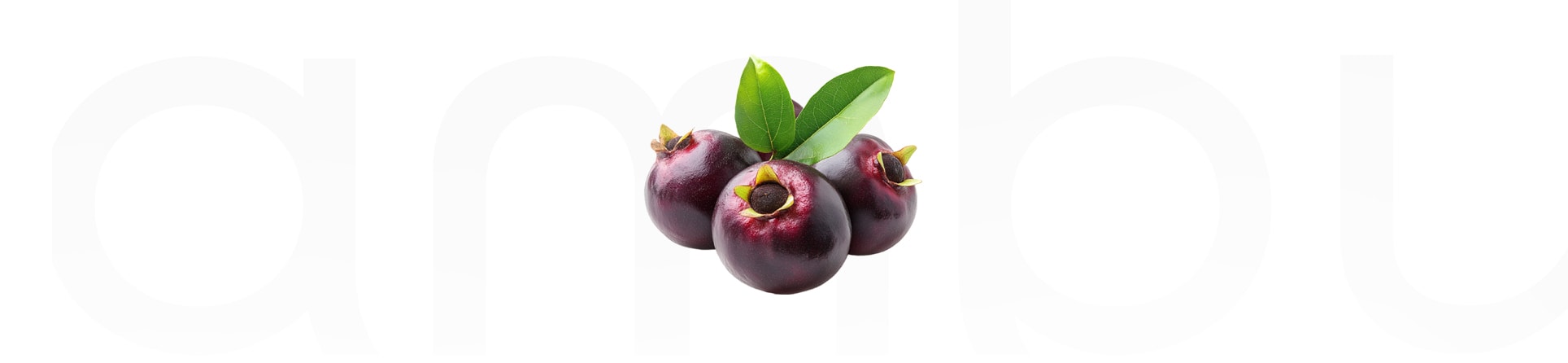 Jambú Extract: Faydaları, Kullanım Alanları ve Etkileri