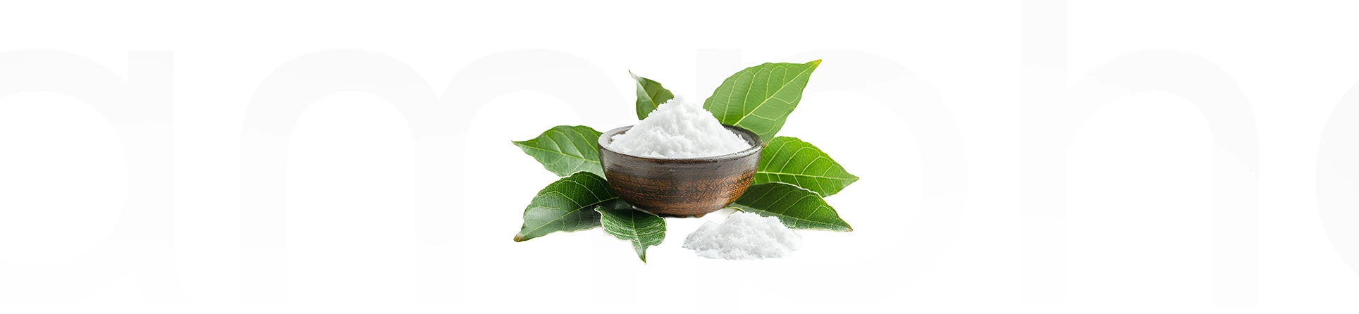 Camphor (Kafur) Nedir? Cilt İçin Faydaları, Kullanım Alanları ve Etkileri