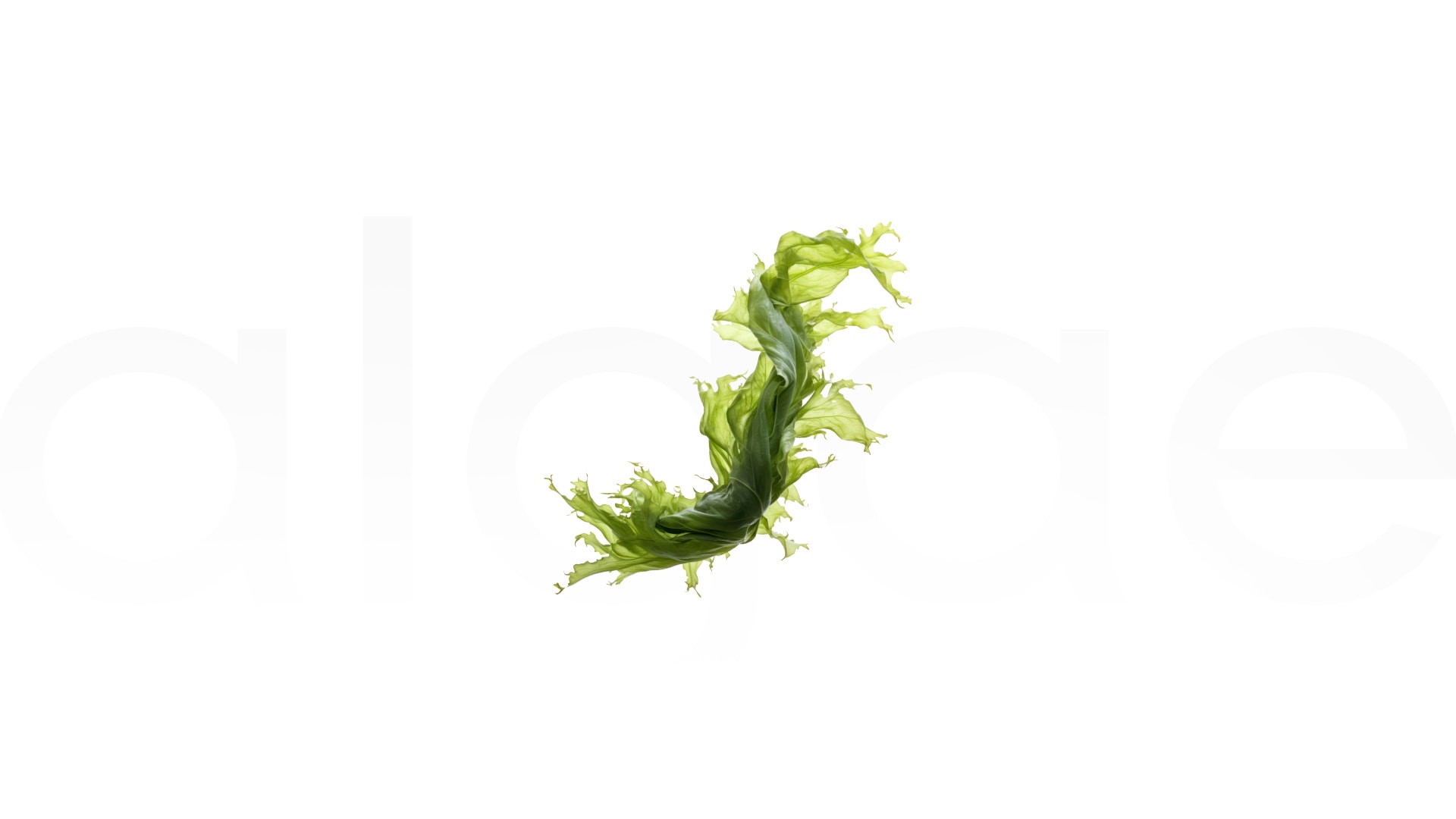 Alg (Algae): Faydaları, Kullanım Alanları ve Etkileri