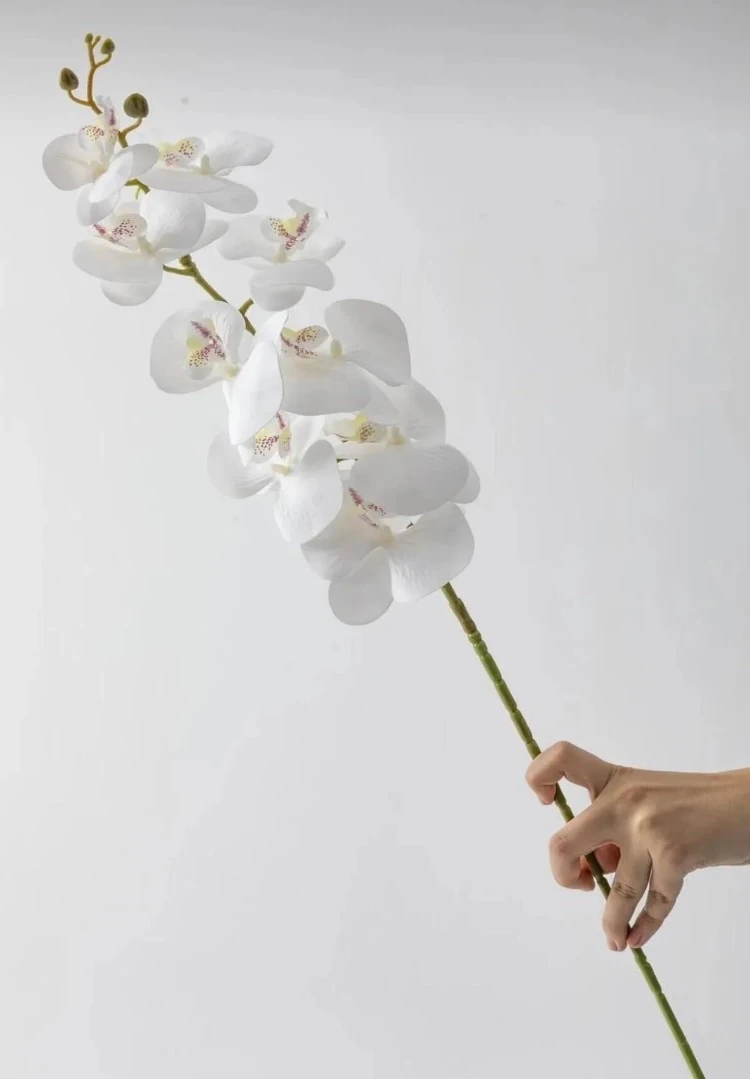Islak Orkide Dalı 1 Dal – Gerçekçi Görünümlü Yapay Kuru Çiçek, Dekoratif Süsleme Malzemesi