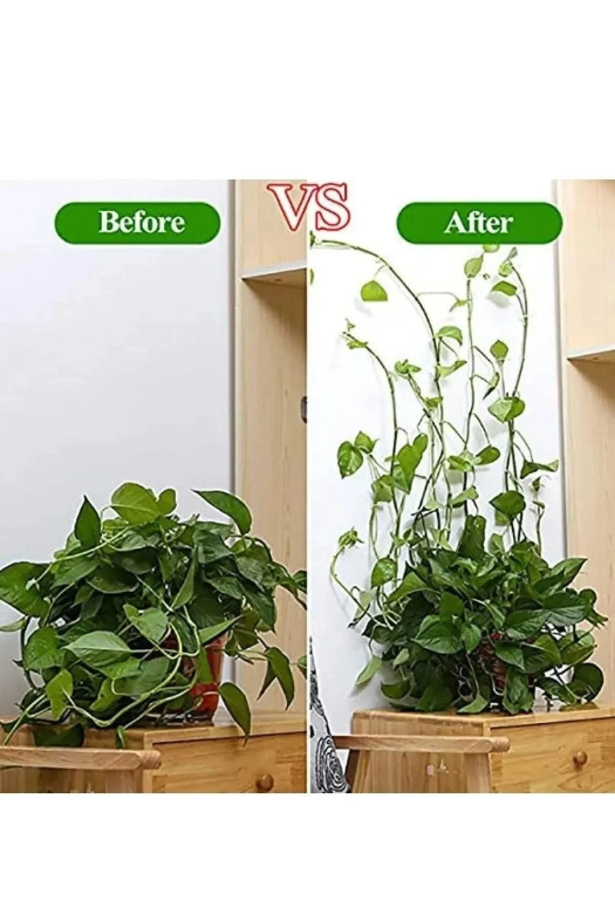 10 Adet Sarmaşık Çiçek Ve Kablo Düzenleyici Çok Amaçlı Yapışkanlı Klips