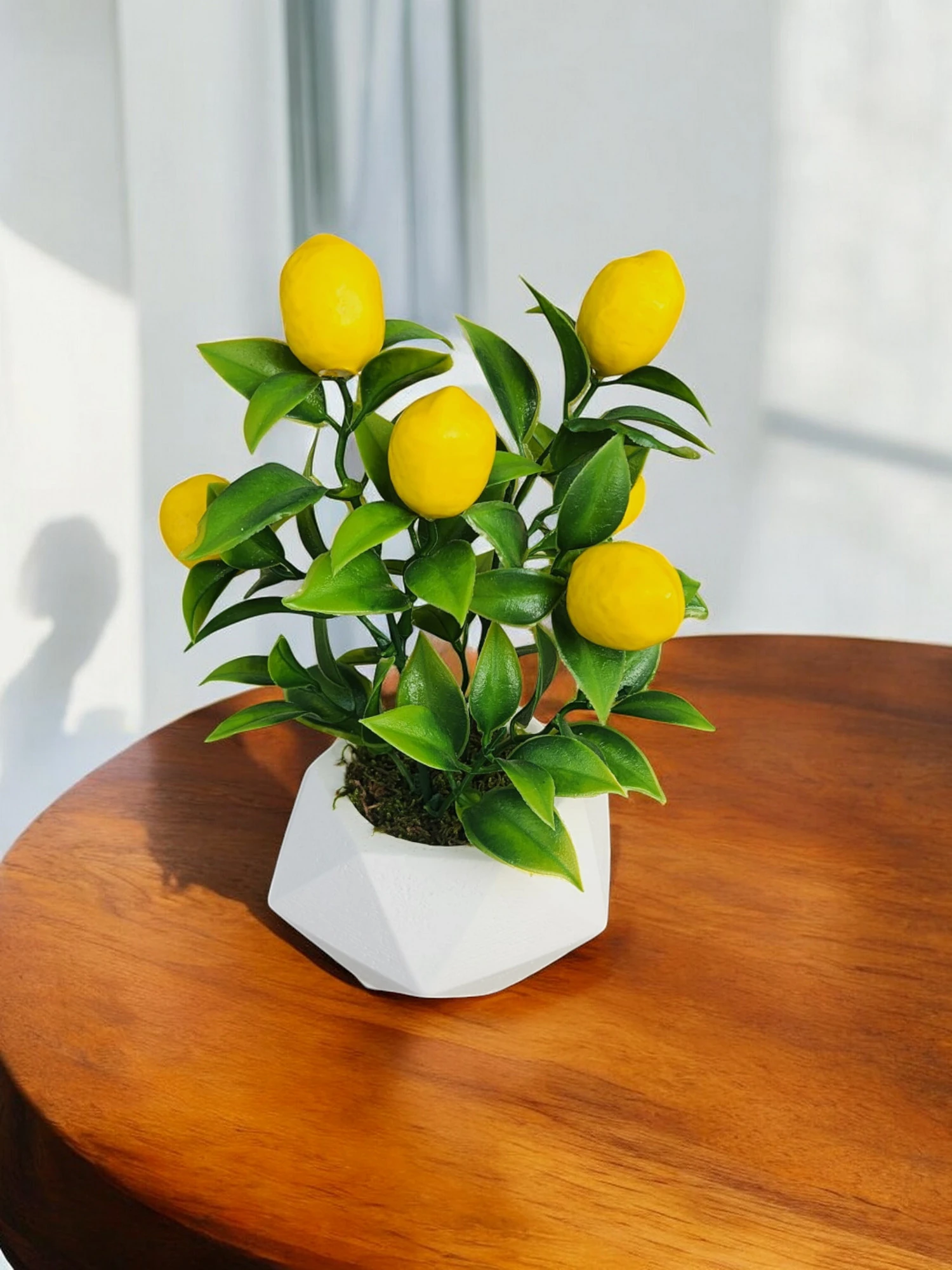 Beton Saksıda Prizma Saksıda Gerçek Taş Yosunu Limon Ağacı Mutfak Ünite Süsü