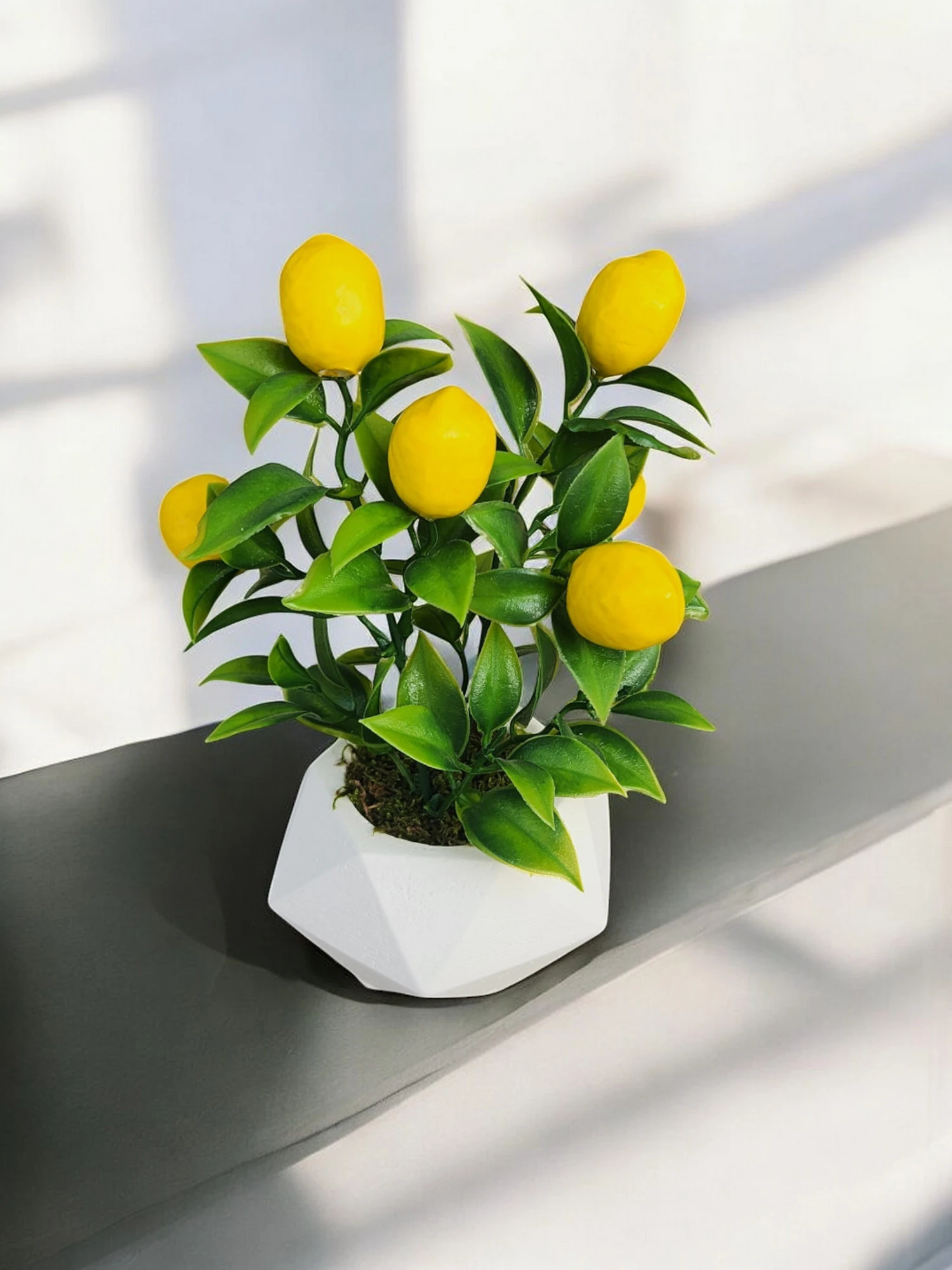Beton Saksıda Prizma Saksıda Gerçek Taş Yosunu Limon Ağacı Mutfak Ünite Süsü