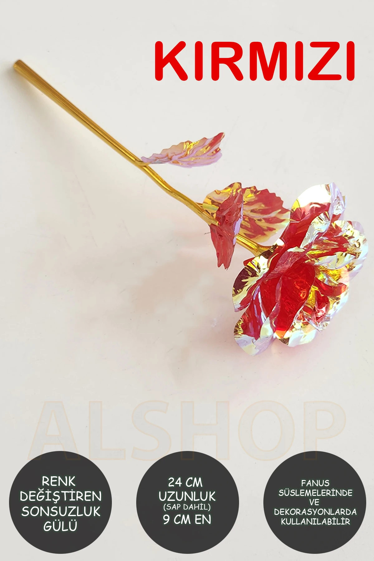 Sonsuzluk Gülü Rengarenk Renk Değiştiren Gül Sevgiliye Hediye 24 Cm 1 Adet