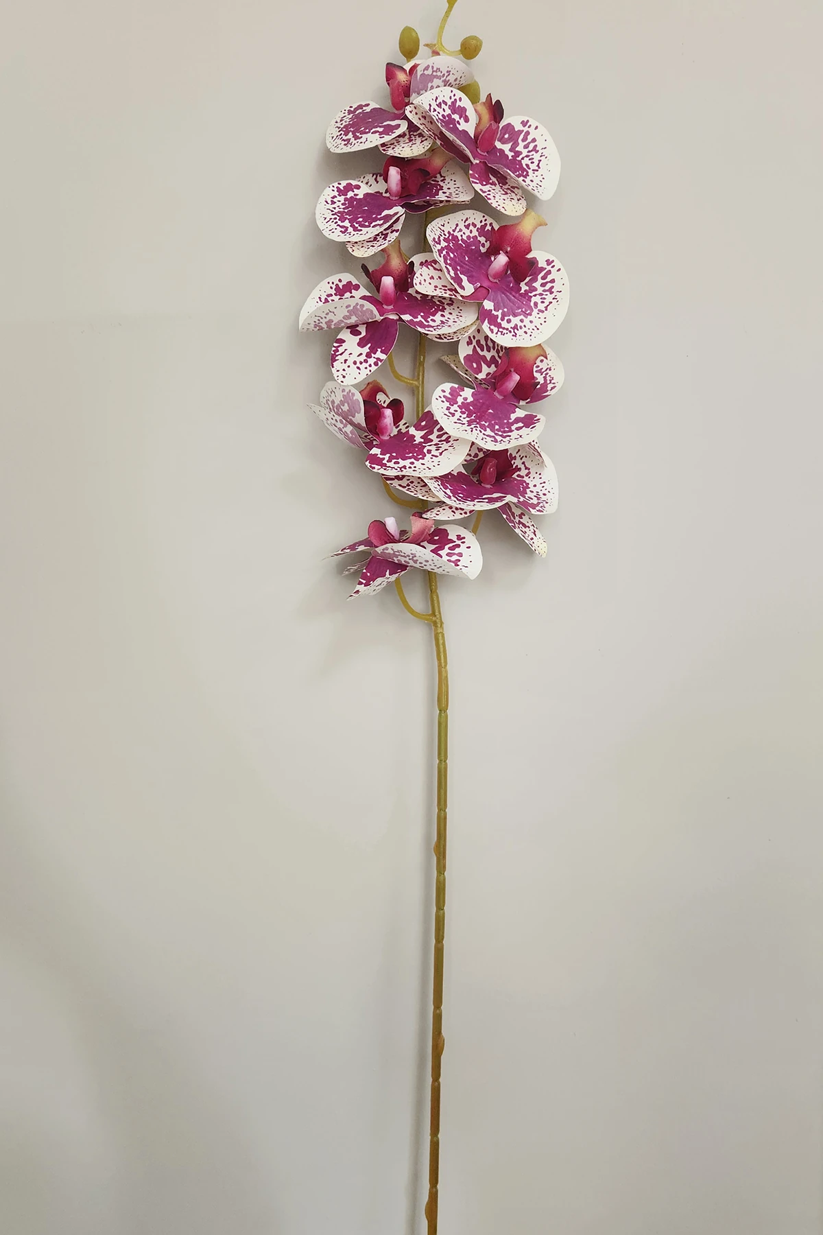 Gerçek Görünümlü Orkide Büyük Boy Yapay Orkide 85 Cm Çiçek