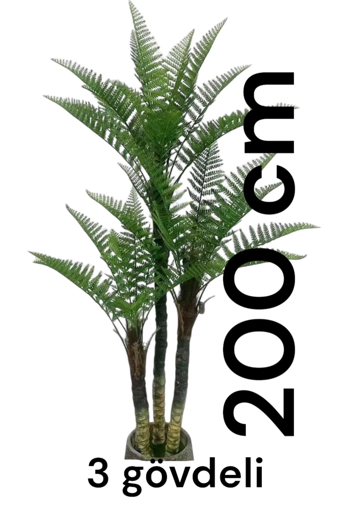 200 cm Yapay 3 Gövdeli Eğreltiotu Ağacı Gold Kemer Beyaz Saksıda Ağaç