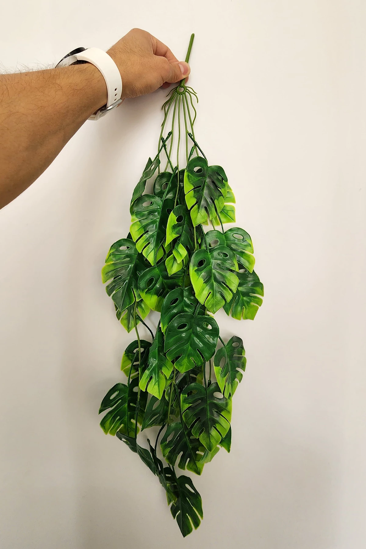 Sarkan Monstera Deve Tabanı Yapay Sarmaşık Pastel 70cm