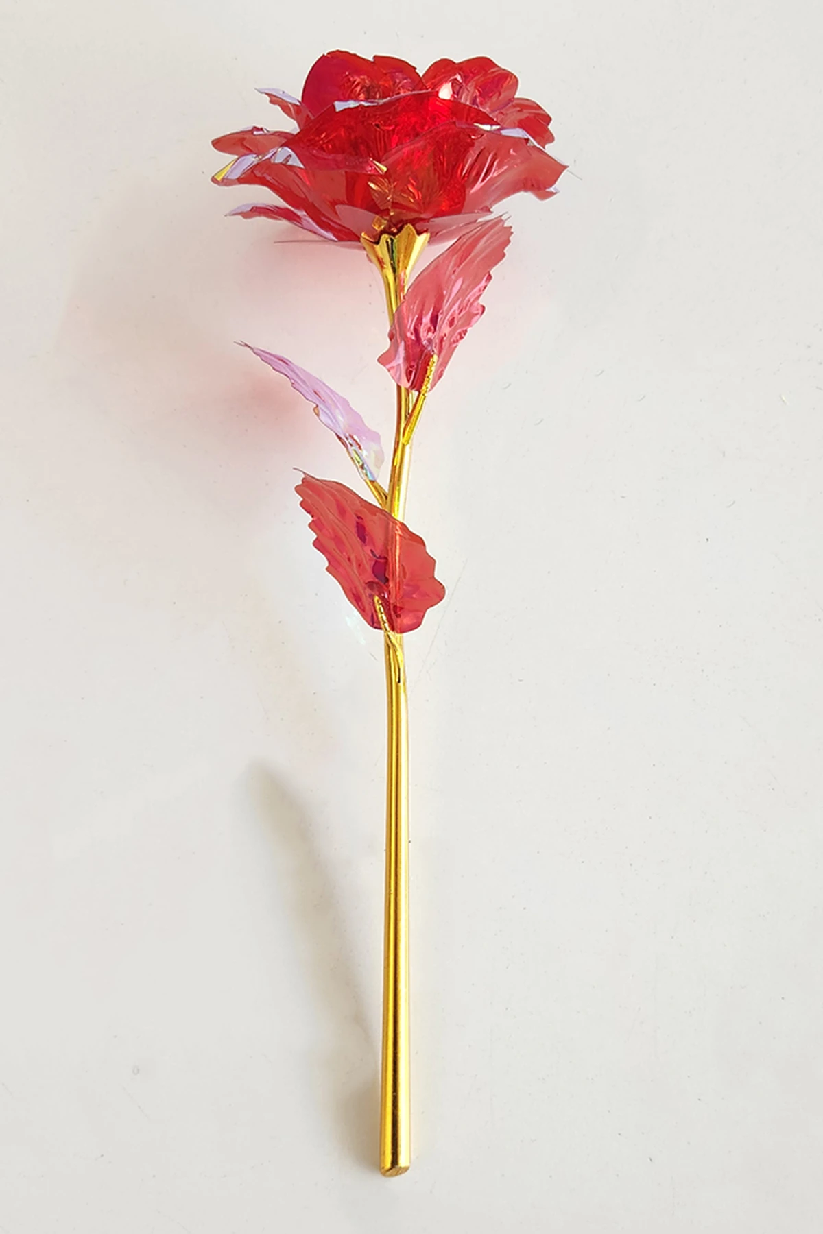 Sonsuzluk Gülü Rengarenk Renk Değiştiren Gül Sevgiliye Hediye 24 Cm 1 Adet