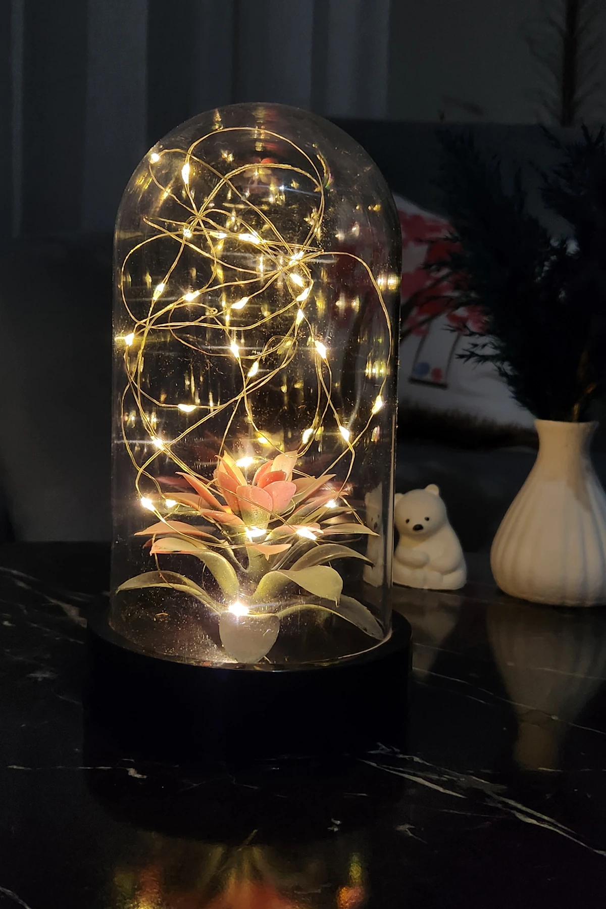 Siyah Tabanlı Hediyelik Ledli Solmayan Sukulent Teraryum Fanus Piller Dahil