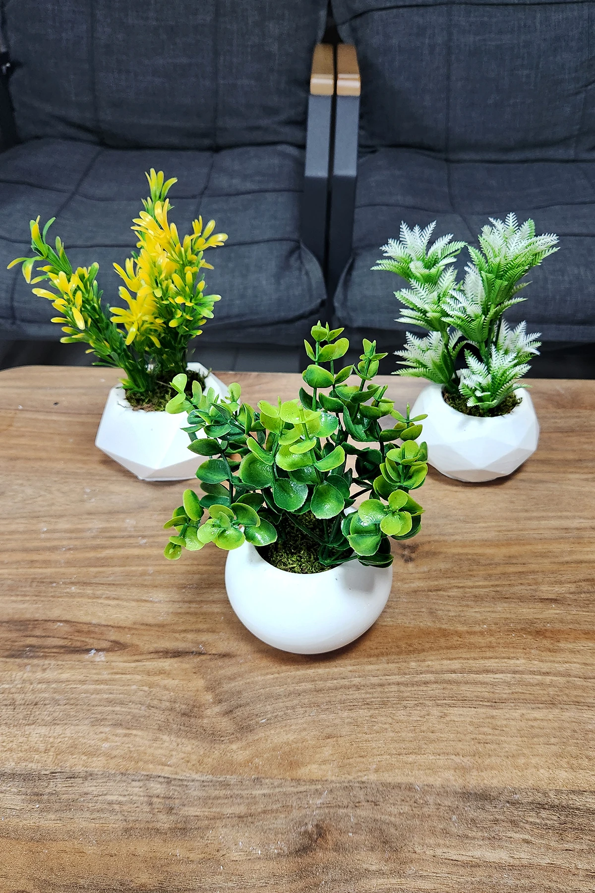 3'lü Beton Saksıda Set Saksıda Yapay Çiçek Gerçek Taş Yosunlu