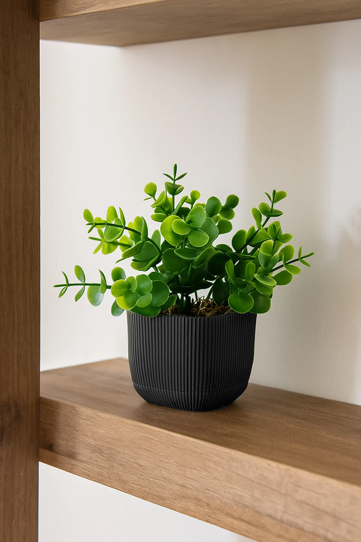 Mini Saksıda Yapay Bitki Şimşir Gerçek Taş Yosunlu Toplam 16 Cm Dekoratif Banyo Mutfak Masa Çiçeği