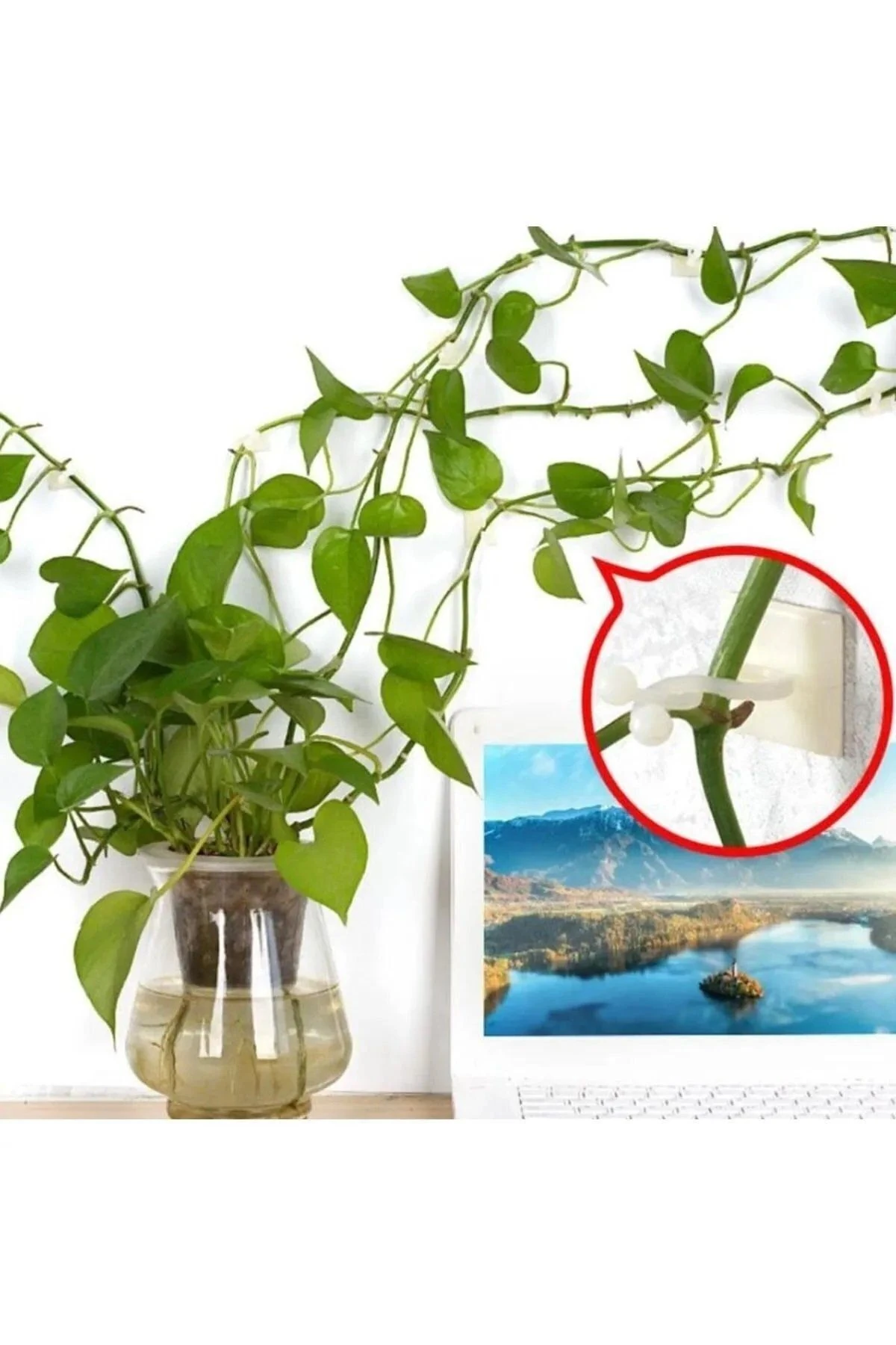 10 Adet Sarmaşık Çiçek Ve Kablo Düzenleyici Çok Amaçlı Yapışkanlı Klips