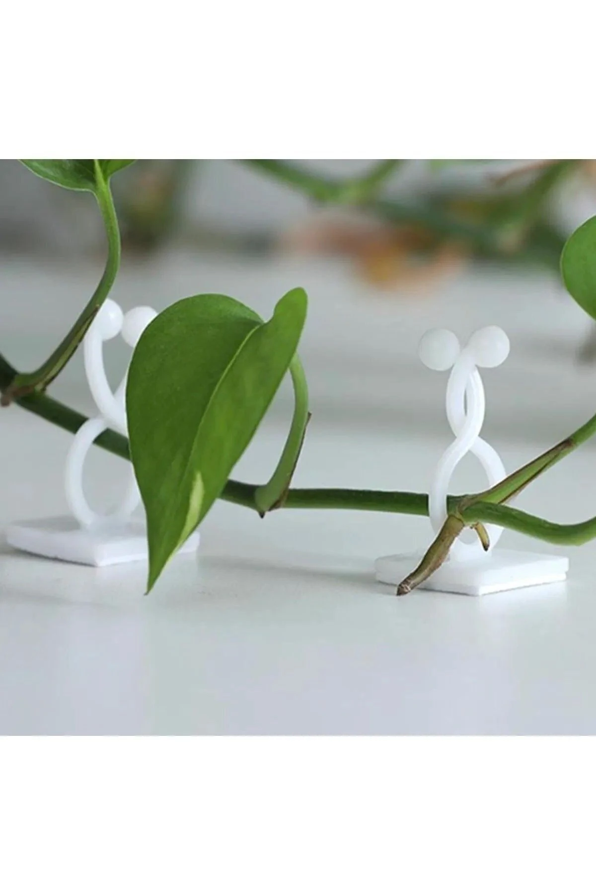 10 Adet Sarmaşık Çiçek Ve Kablo Düzenleyici Çok Amaçlı Yapışkanlı Klips