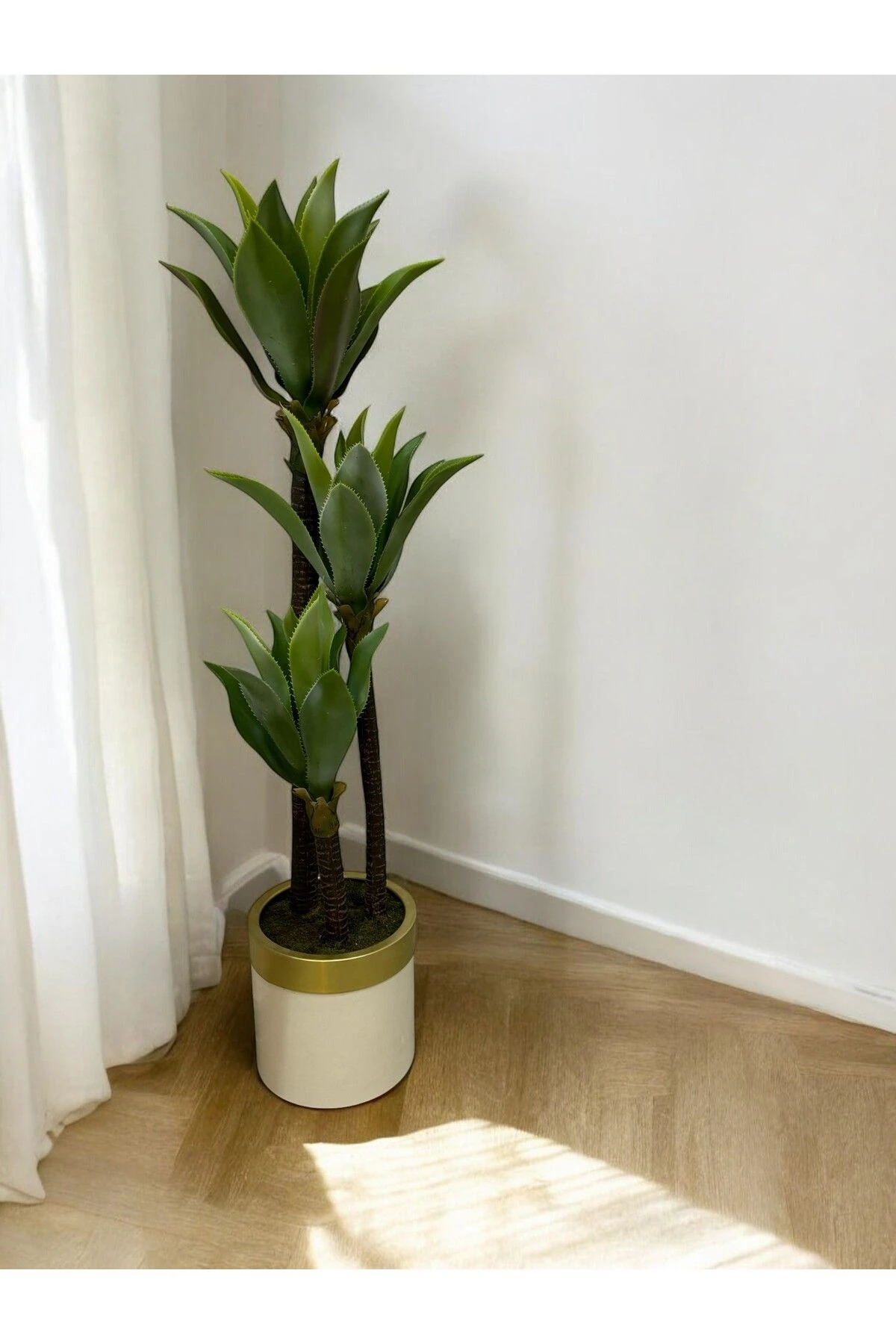 150 cm 3 GÖVDELİ YAPAY AGAVE AĞACI GOLD KEMER BEYAZ SAKSILI AĞAÇ