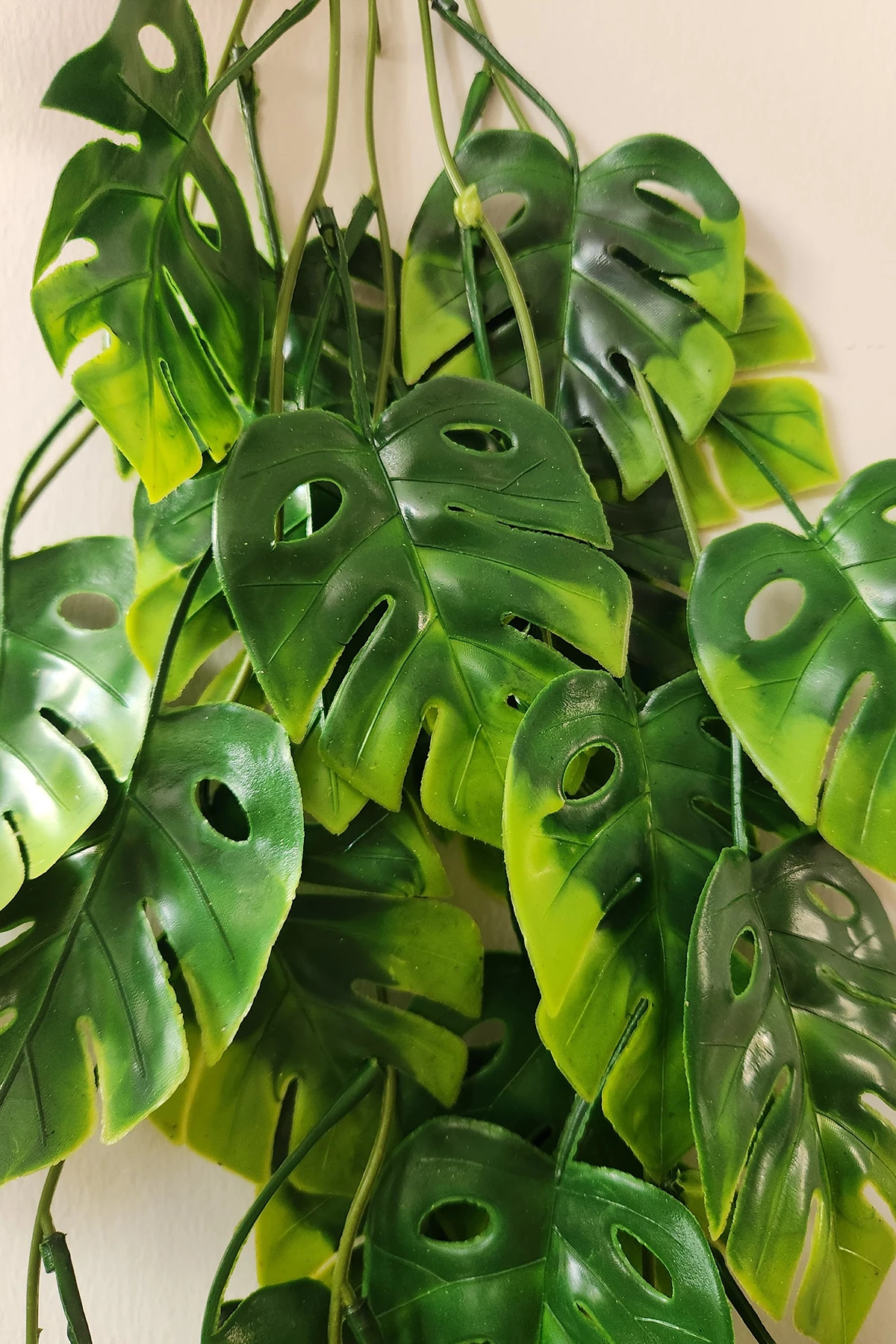 Sarkan Monstera Deve Tabanı Yapay Sarmaşık Pastel 70cm