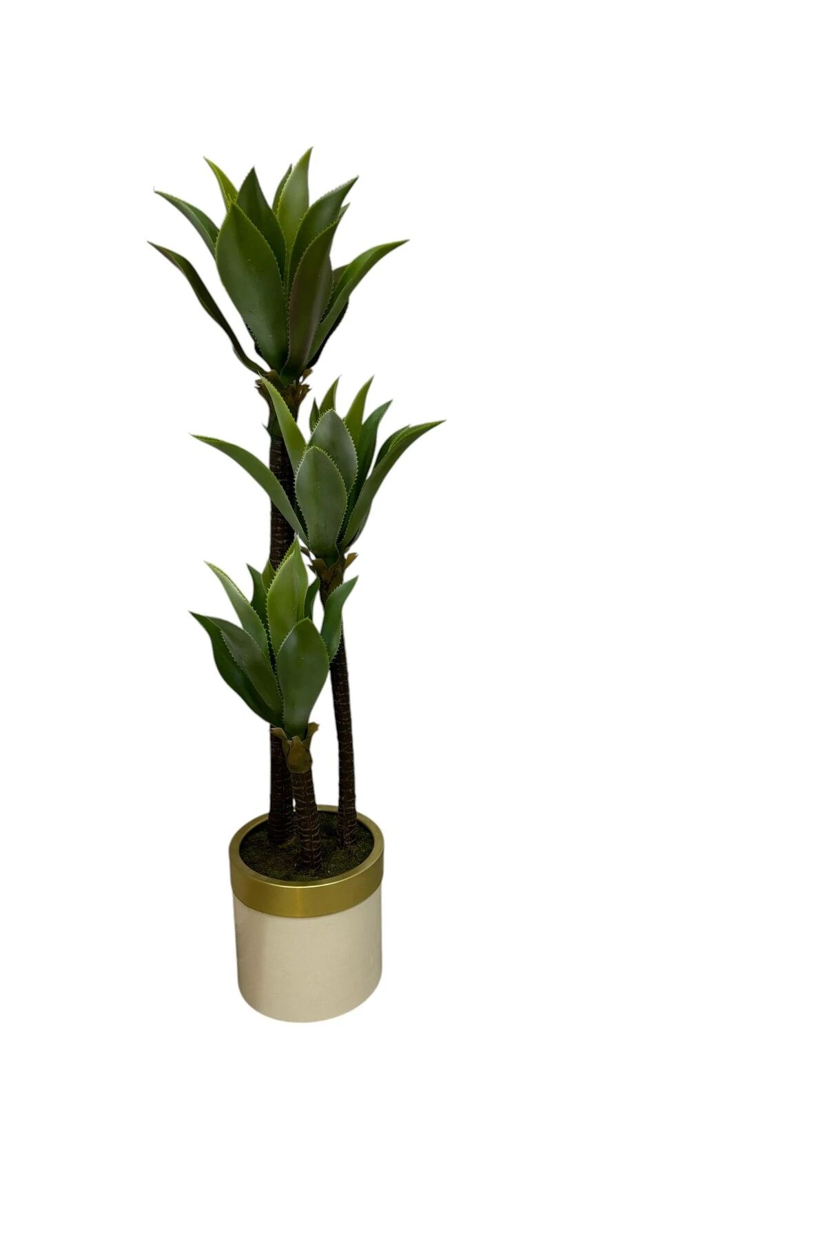 150 cm 3 GÖVDELİ YAPAY AGAVE AĞACI GOLD KEMER BEYAZ SAKSILI AĞAÇ