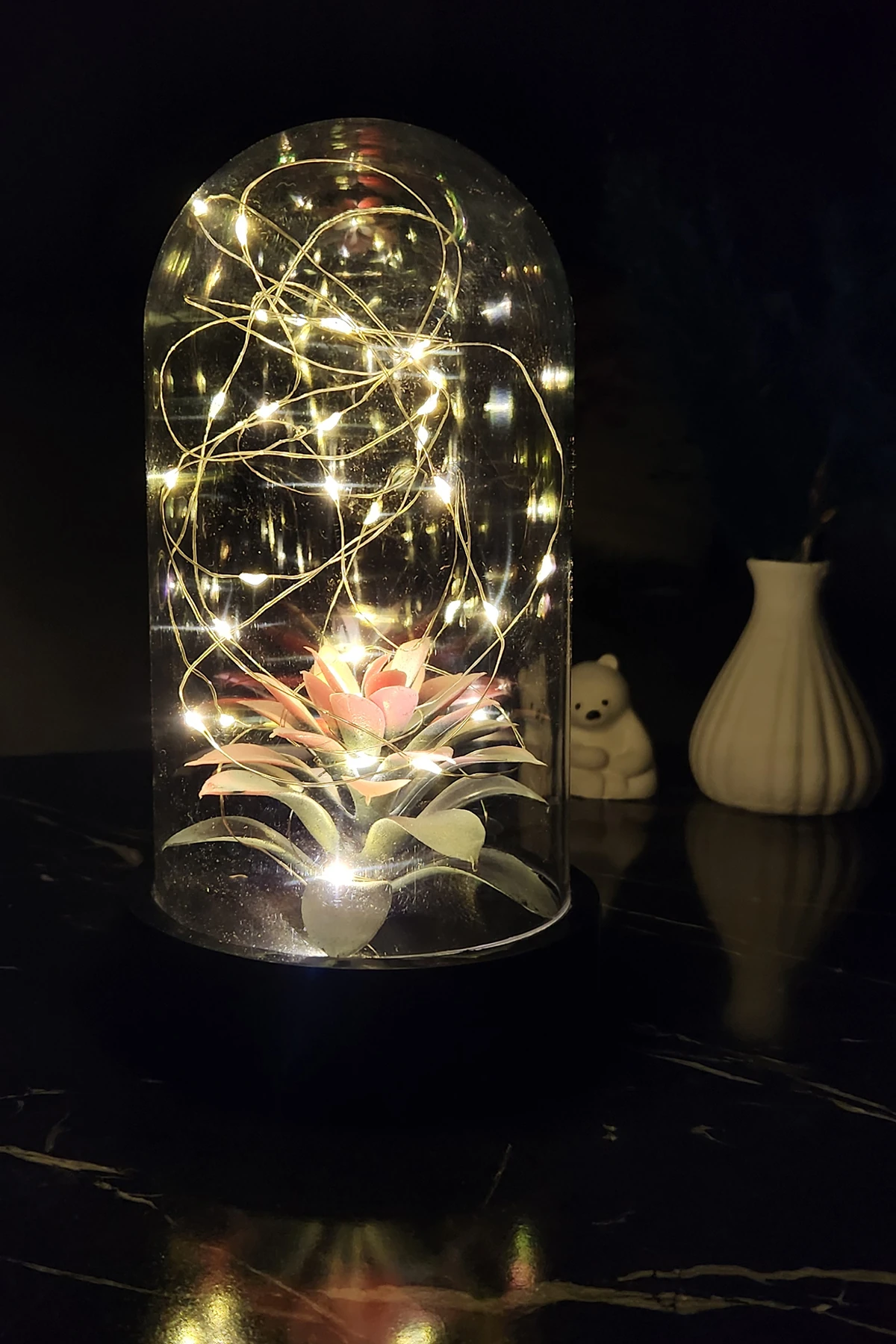 Siyah Tabanlı Hediyelik Ledli Solmayan Sukulent Teraryum Fanus Piller Dahil