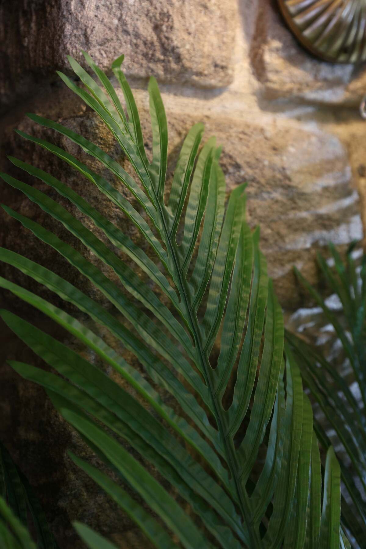 DDS-501 Siyah Metal Saksılı Yapay Ağaç Yapay Çiçek Büyük Boy Salon Çiçeği 150 Cm 1.50 Metre