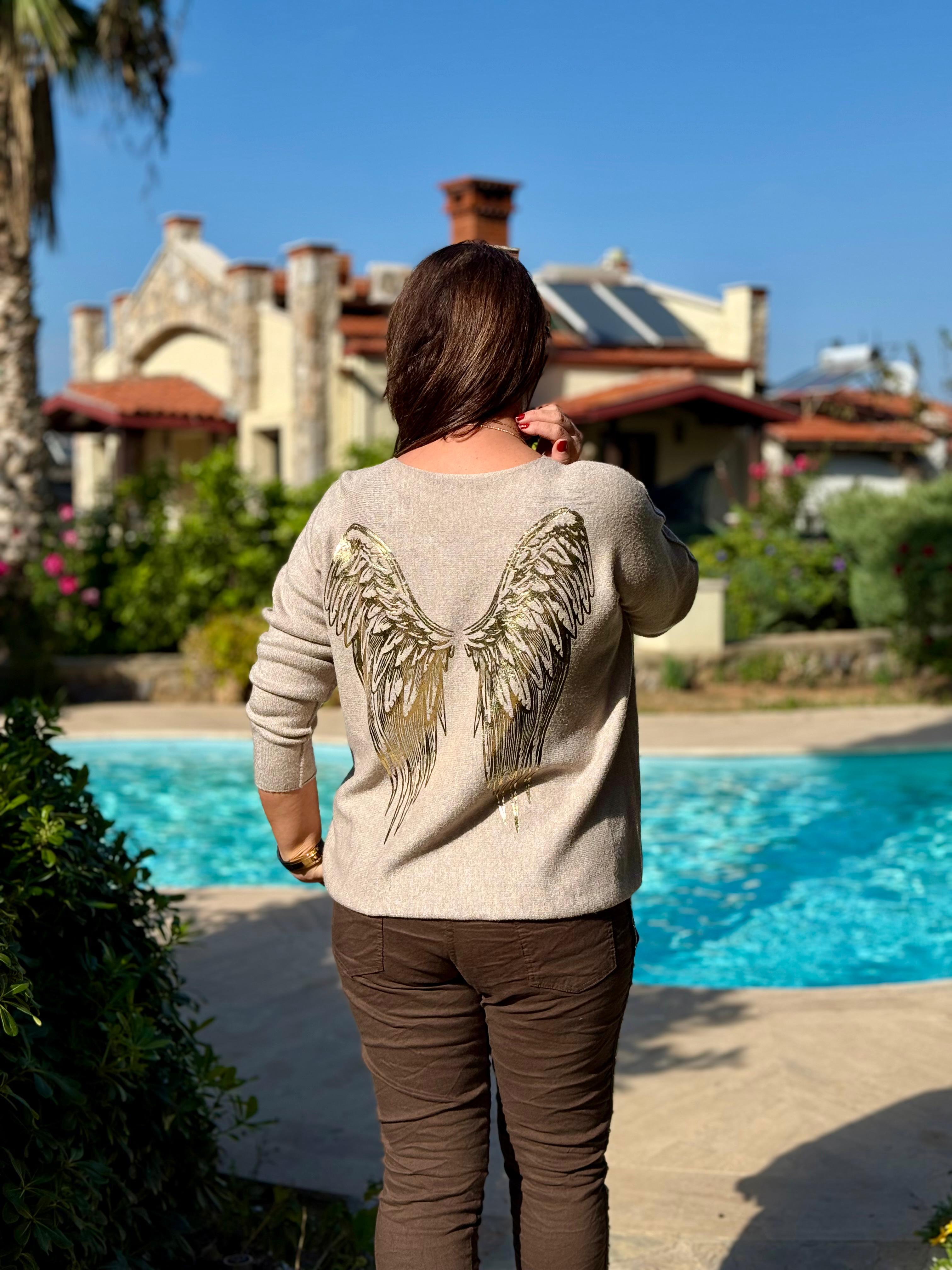 YG152031 Ön Arka Kanat Baskılı V Yaka Angora İtalyan Bluz Bej