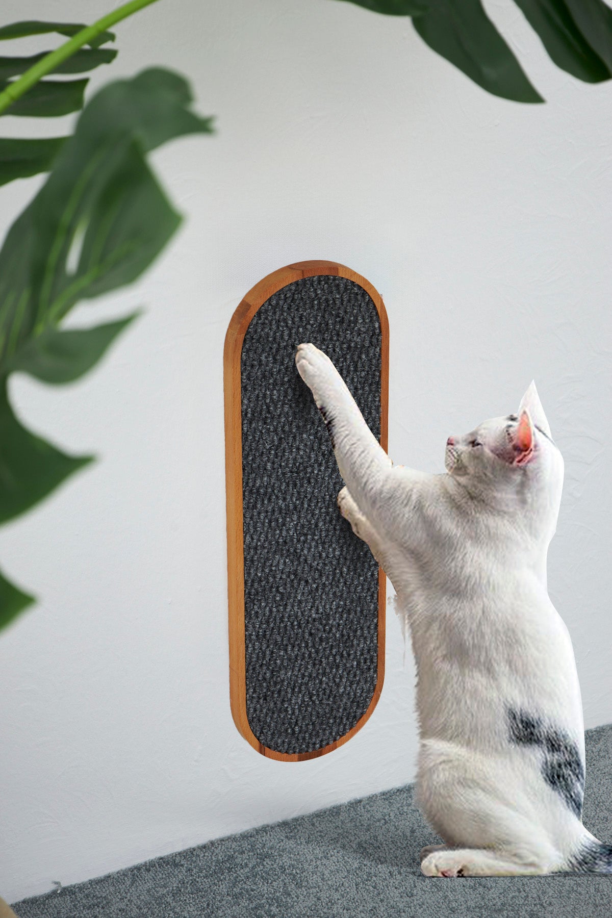 Duvara Monte Masif Ahşap Erkek Kedi Tırmalama Tahtası