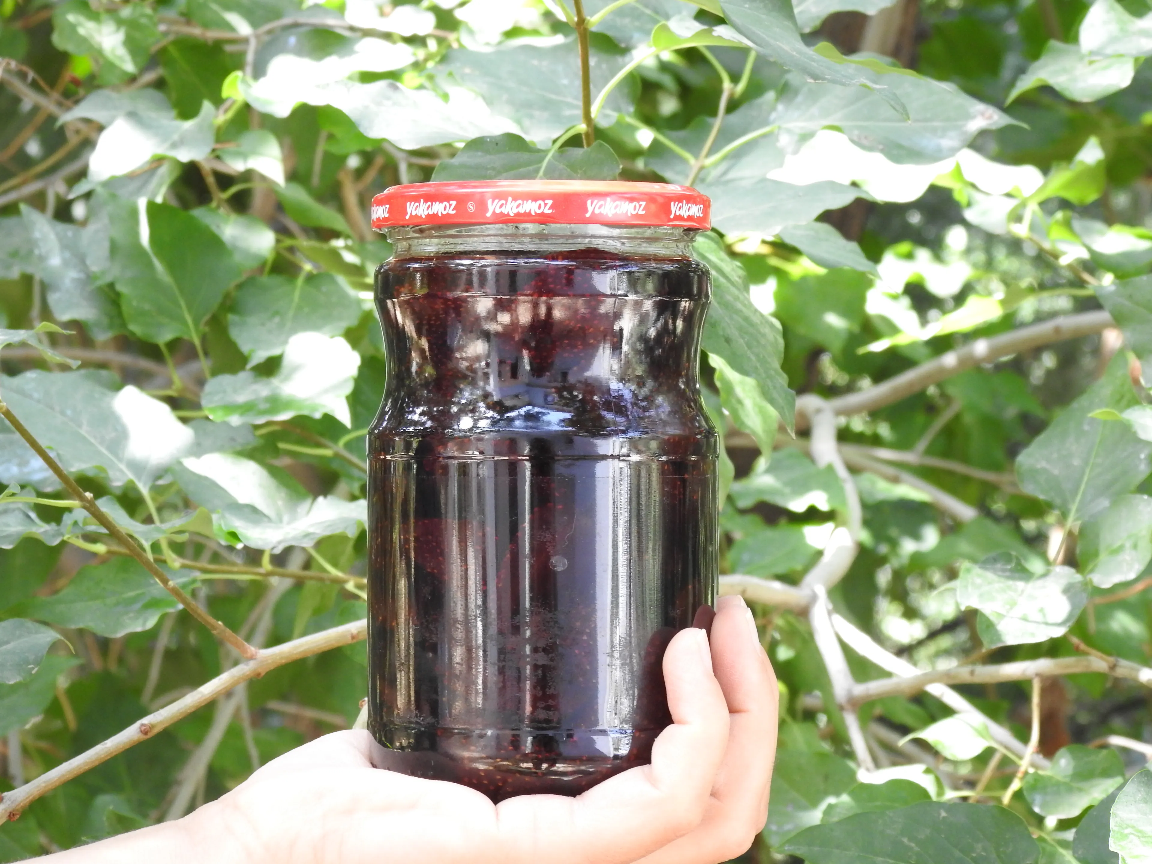 Doğadan Çilek Reçeli