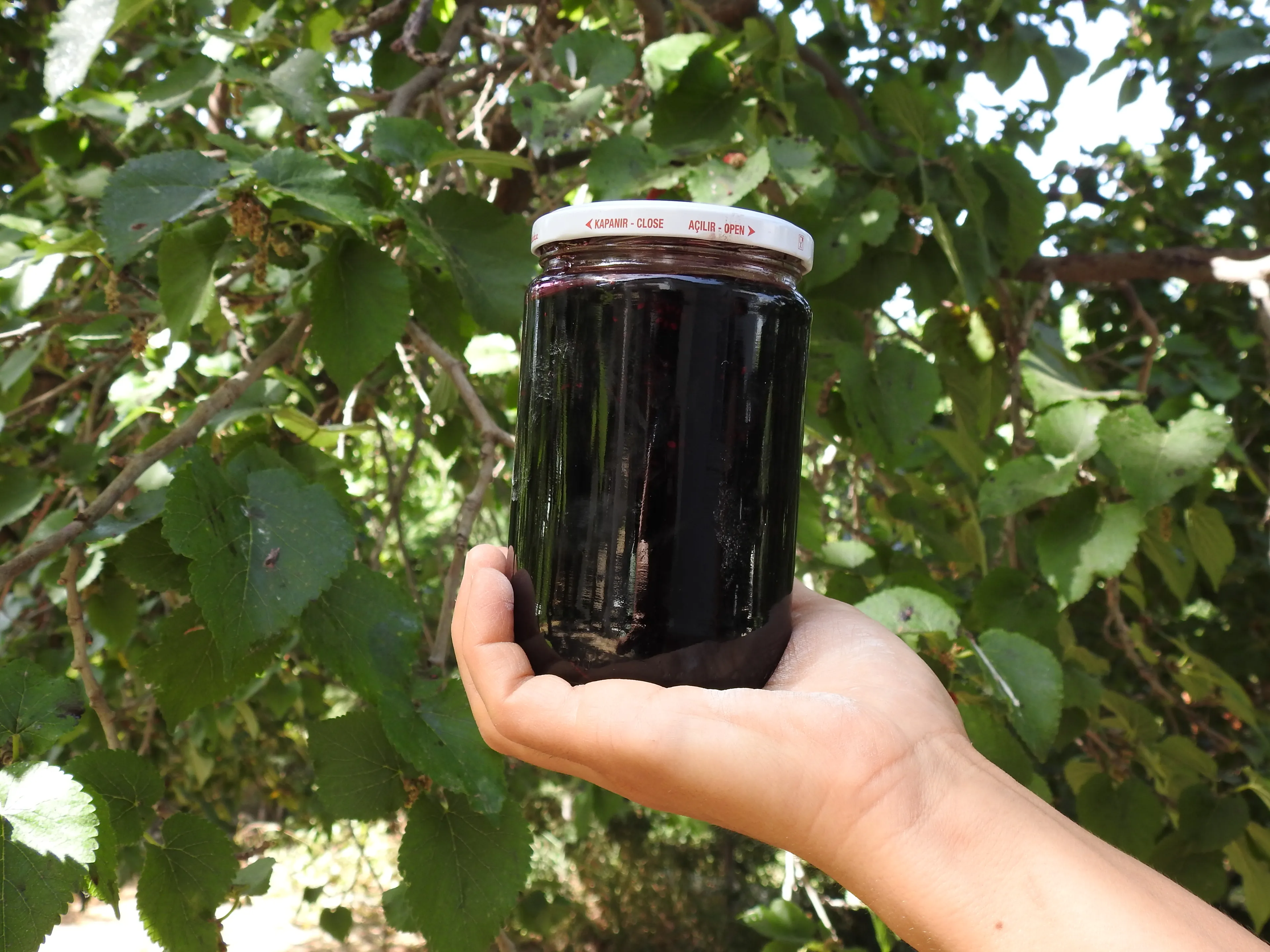 Doğadan Siyah Dut Reçeli 