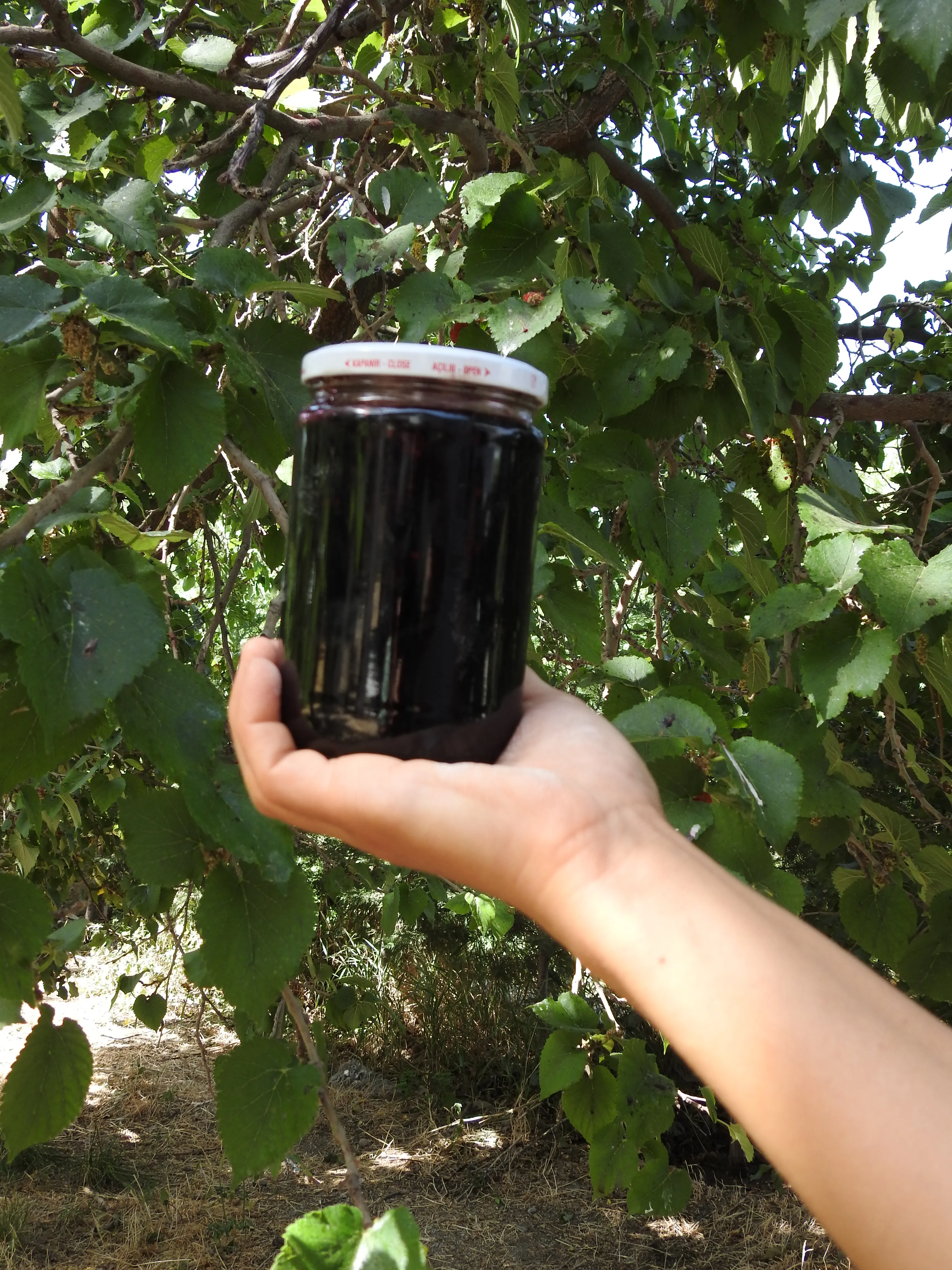 Doğadan Siyah Dut Reçeli 