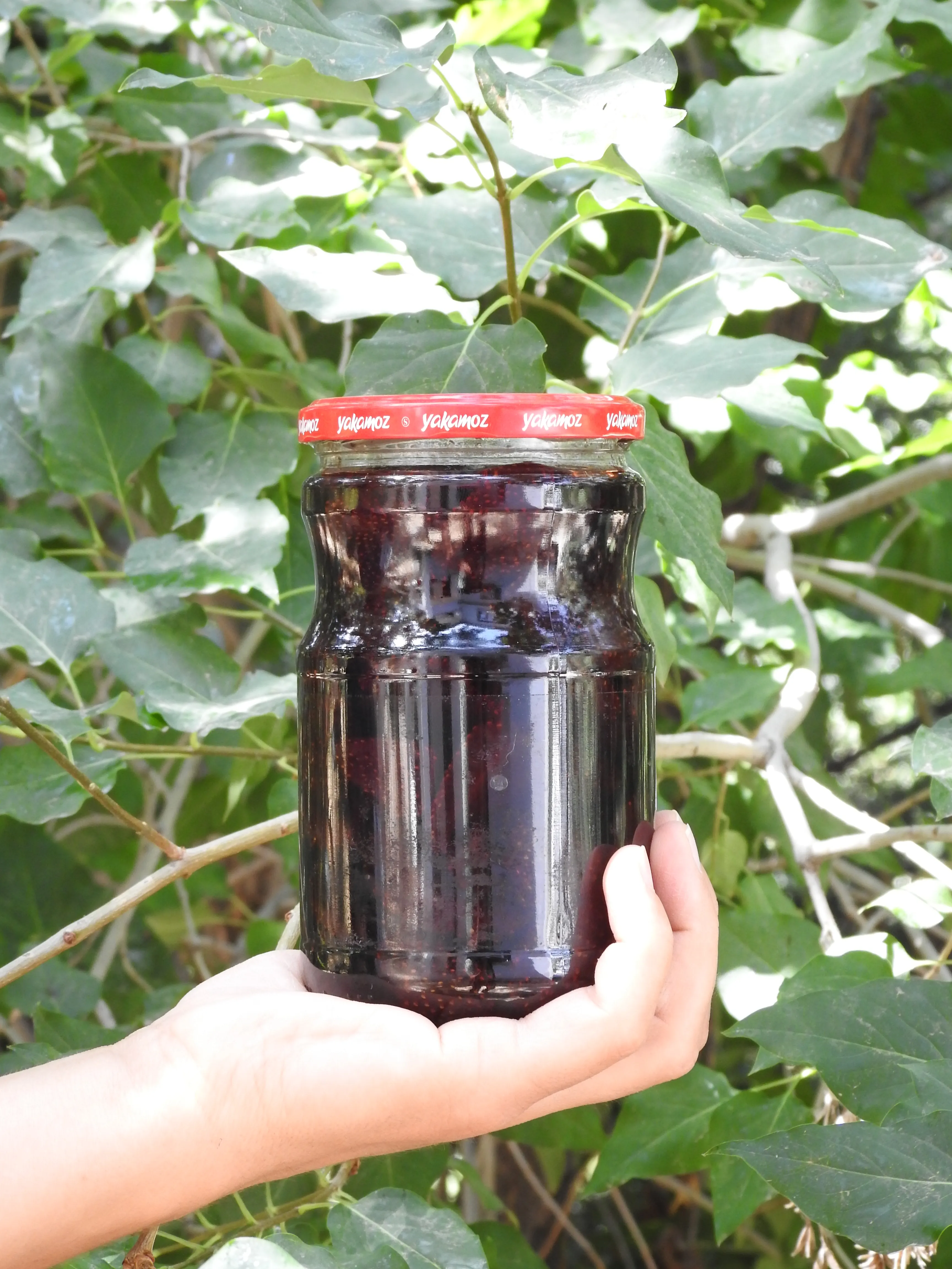 Doğadan Çilek Reçeli