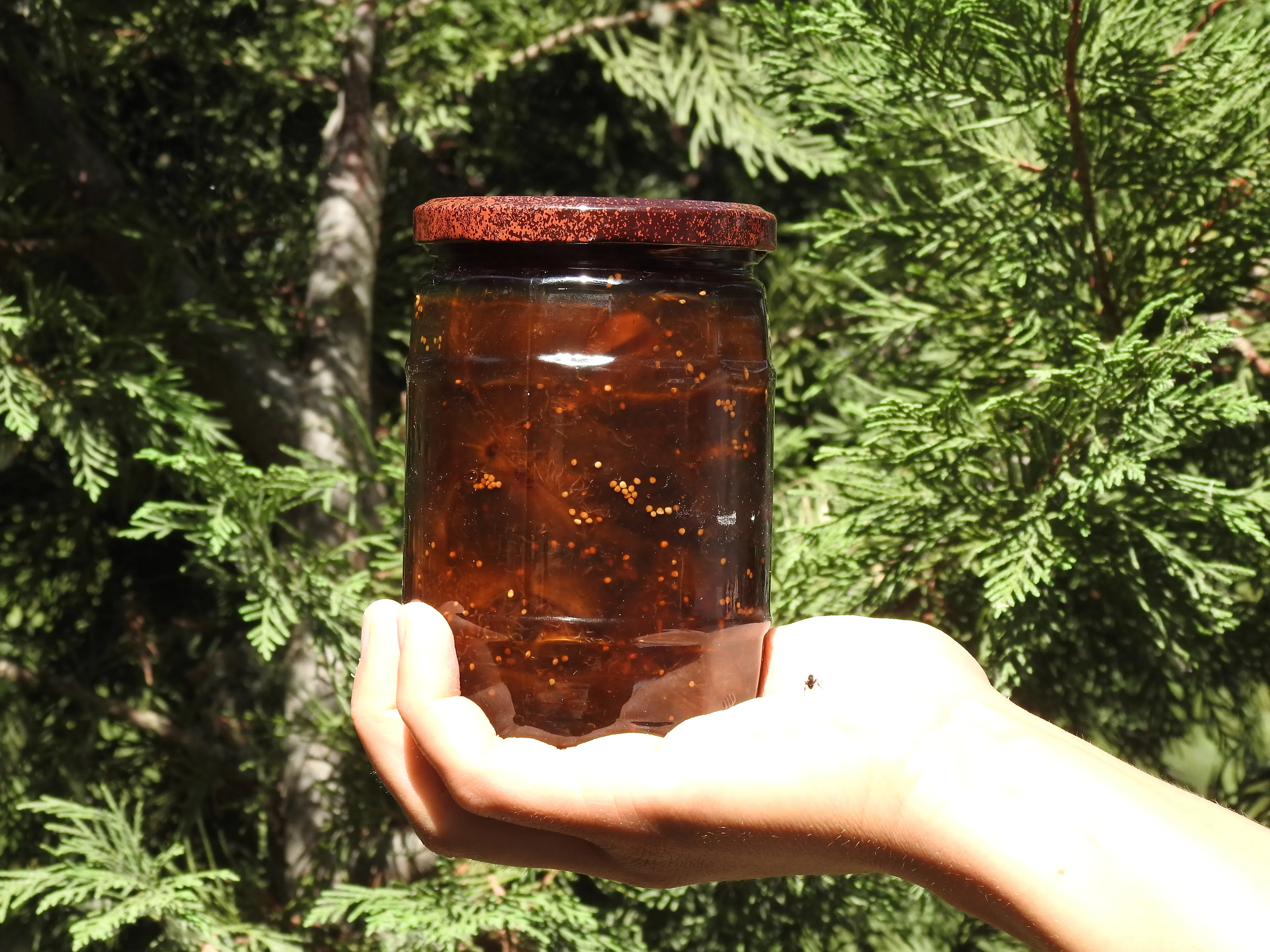 Doğadan İncir Reçeli 