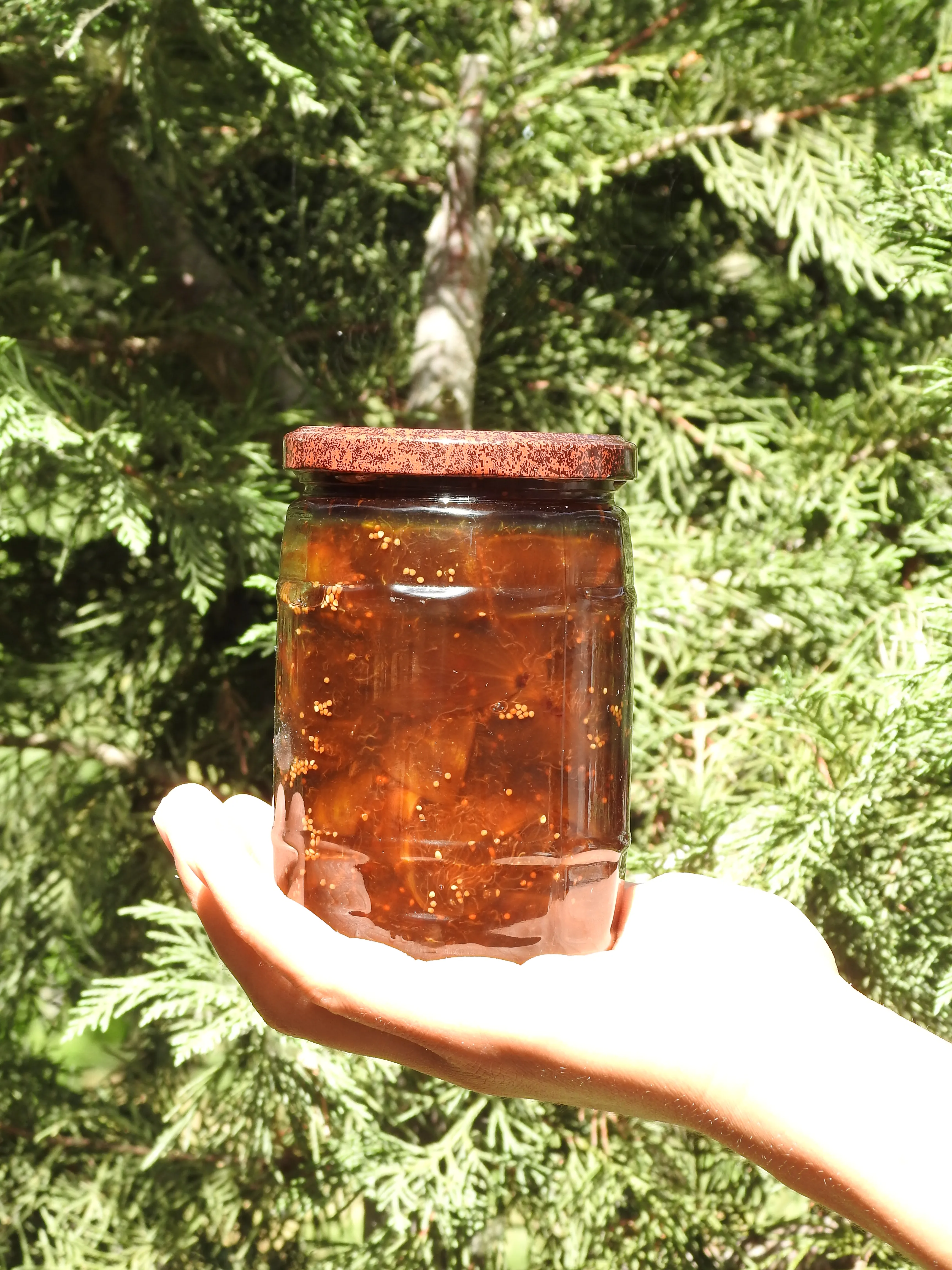 Doğadan İncir Reçeli 