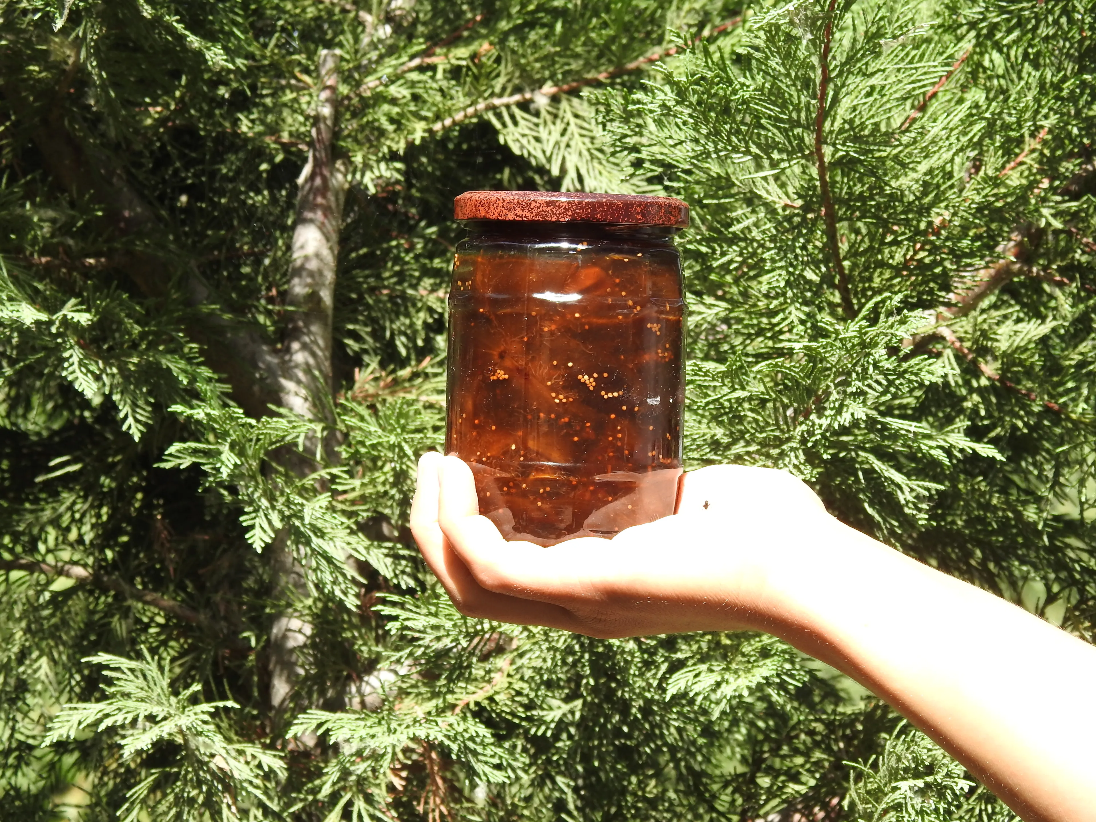 Doğadan İncir Reçeli 