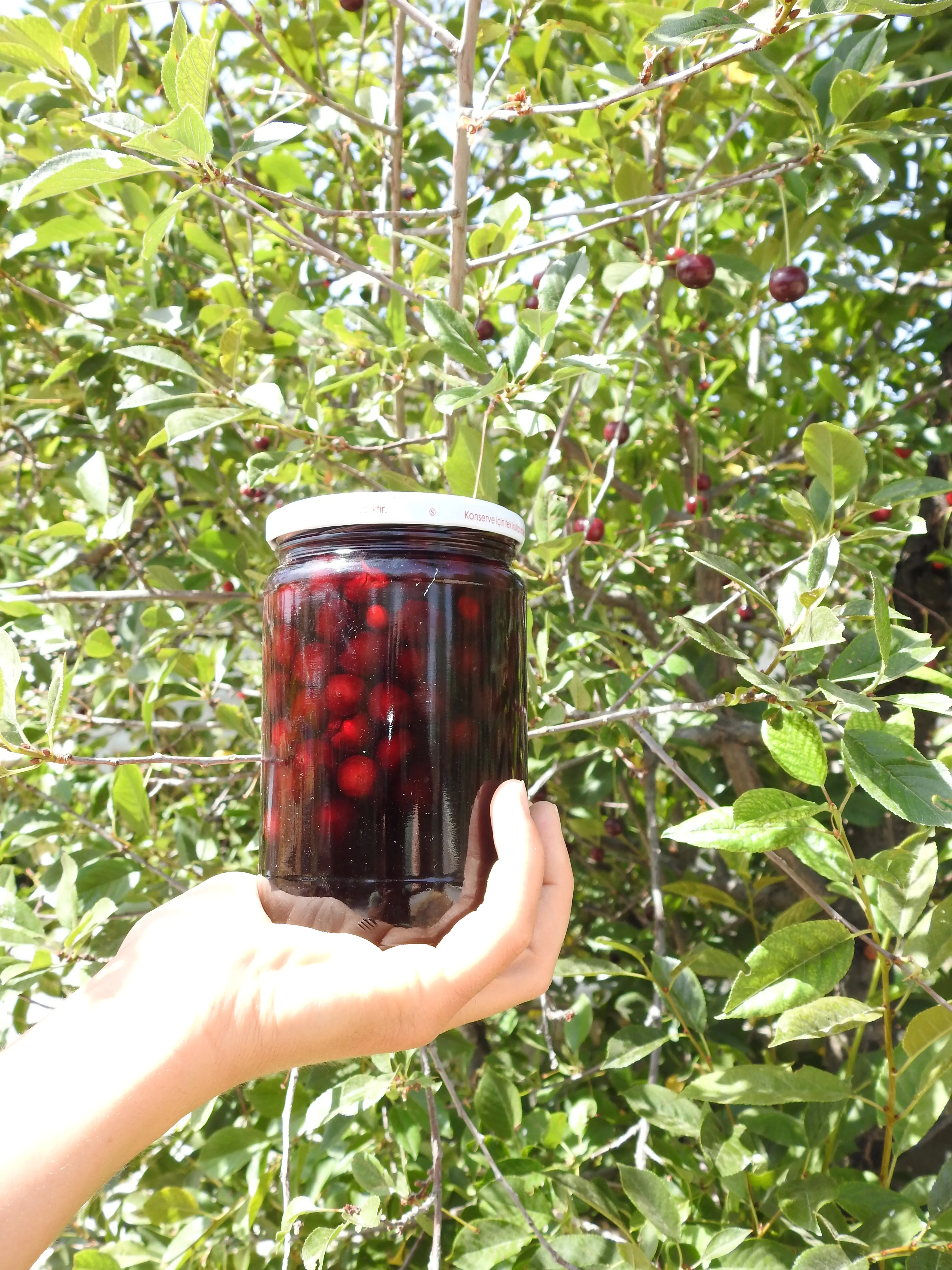 Doğadan Vişne Reçeli 
