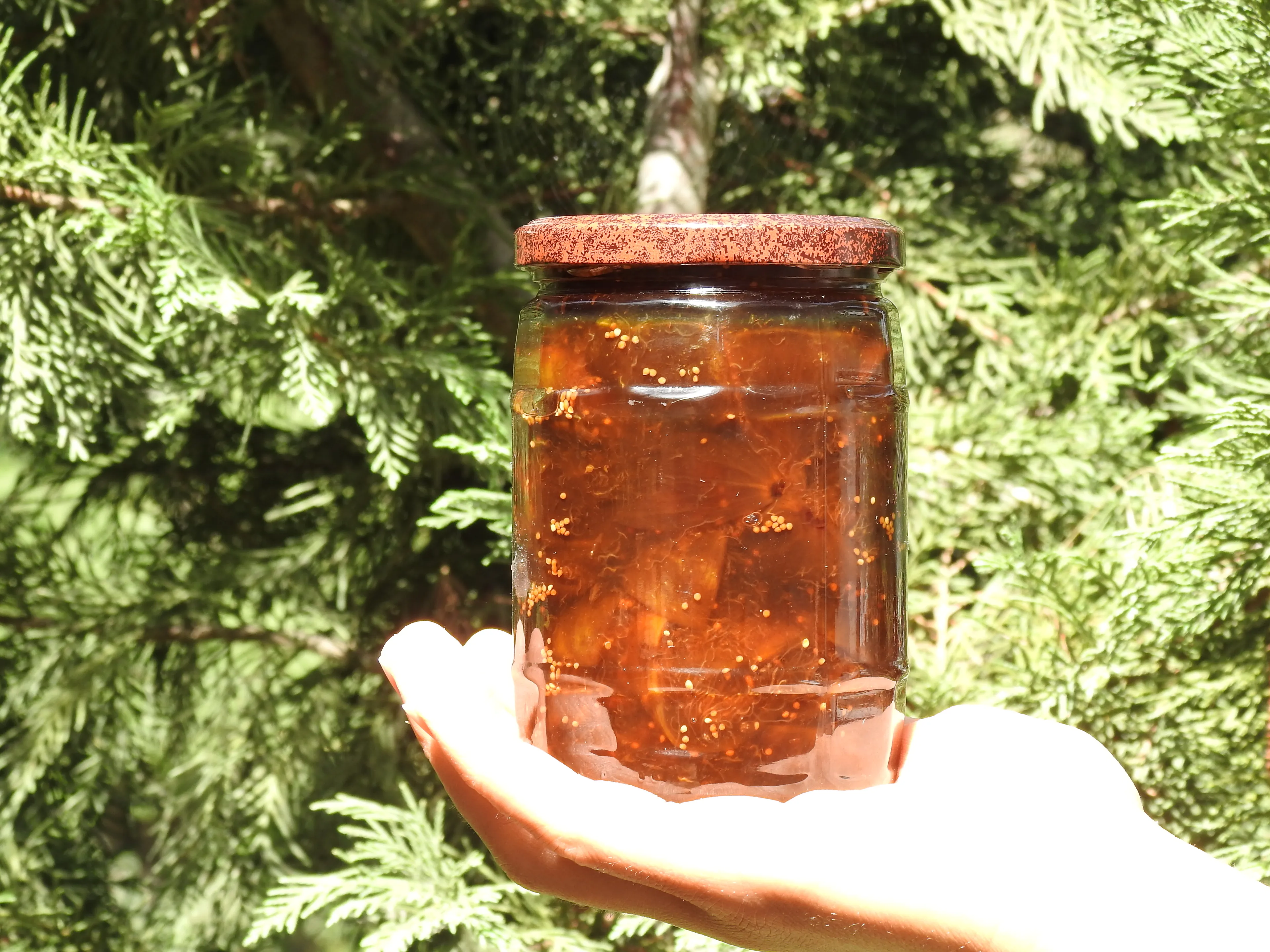 Doğadan İncir Reçeli 