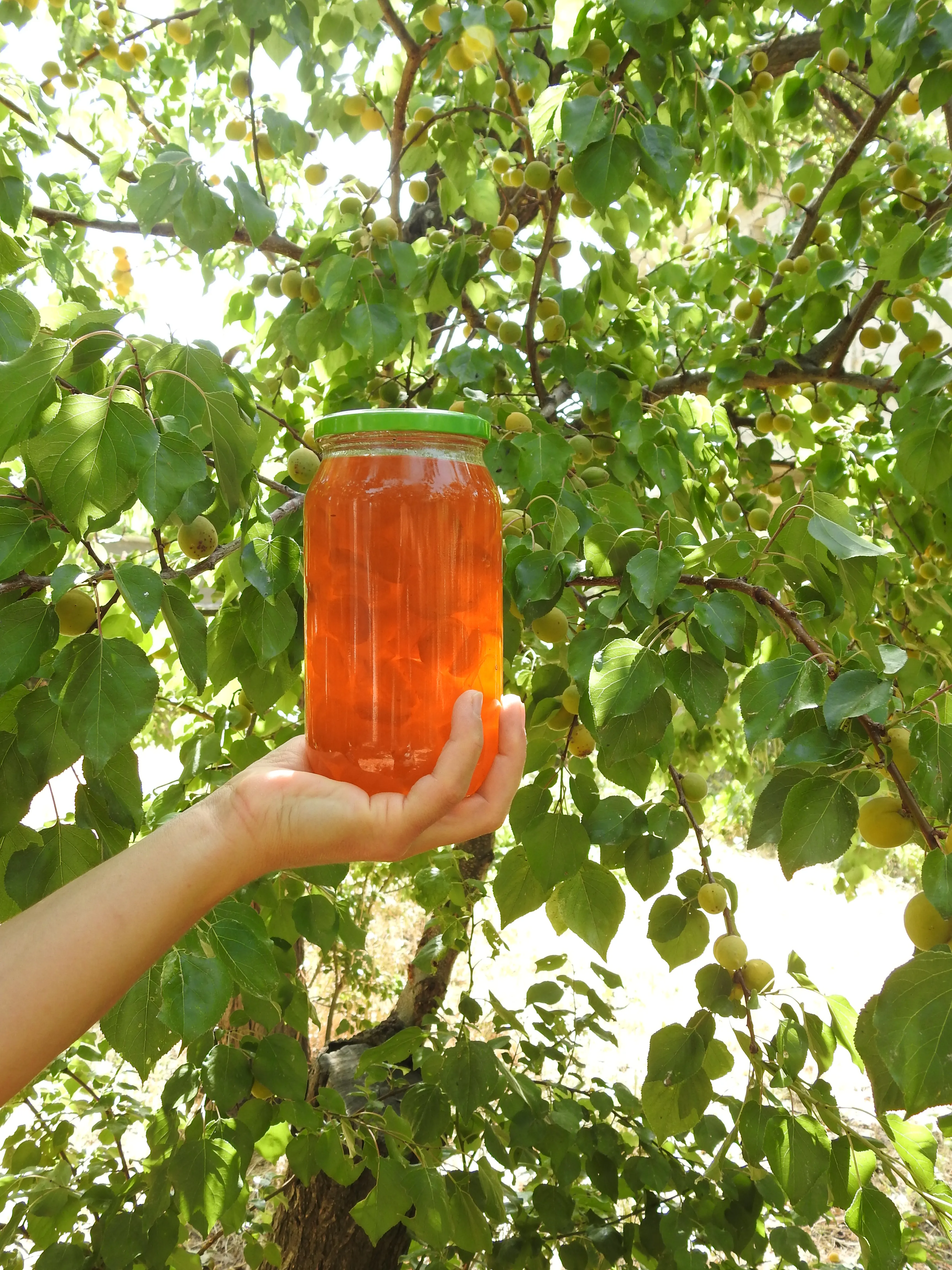 Doğadan Kayısı Reçeli