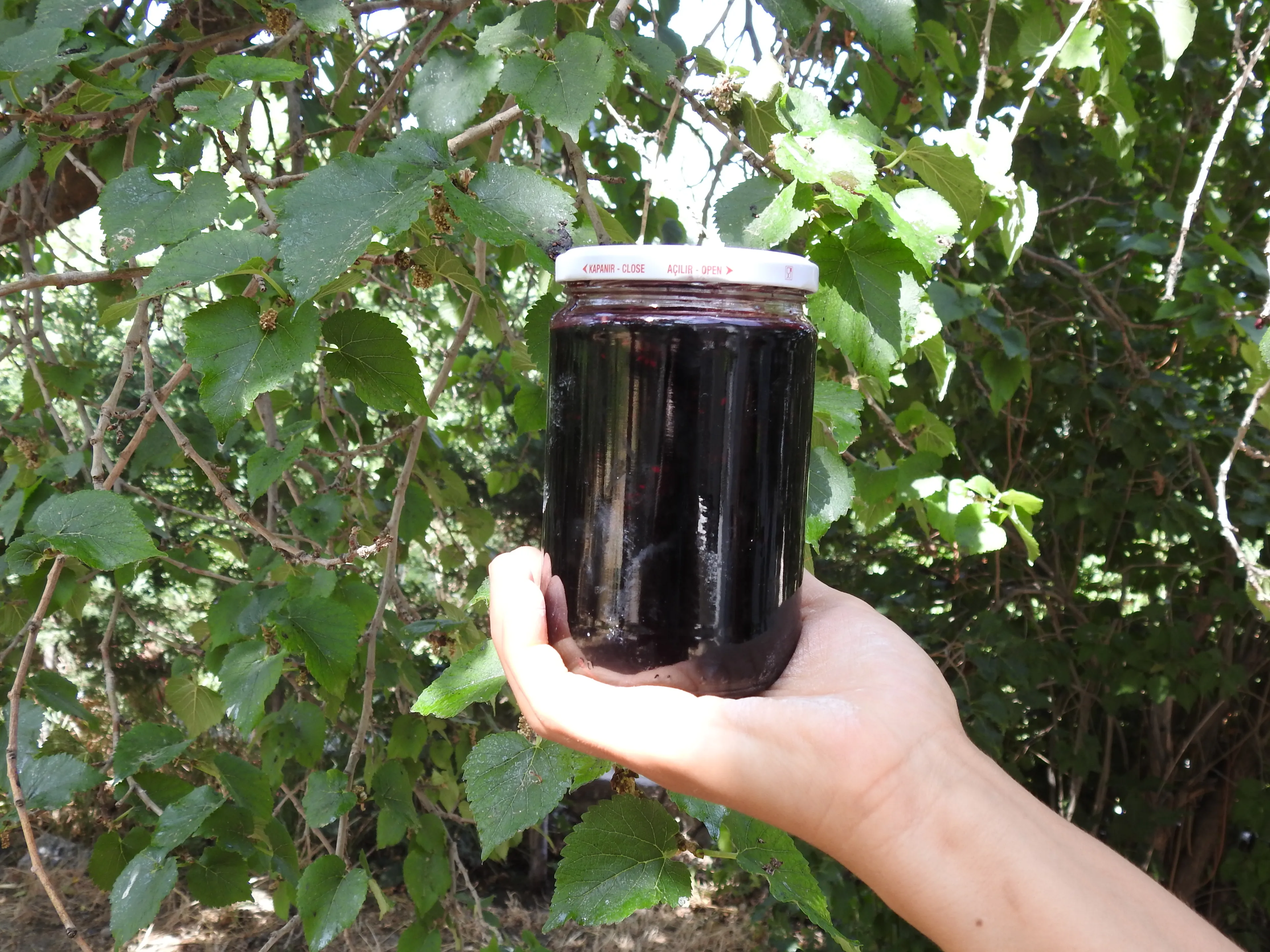 Doğadan Siyah Dut Reçeli 