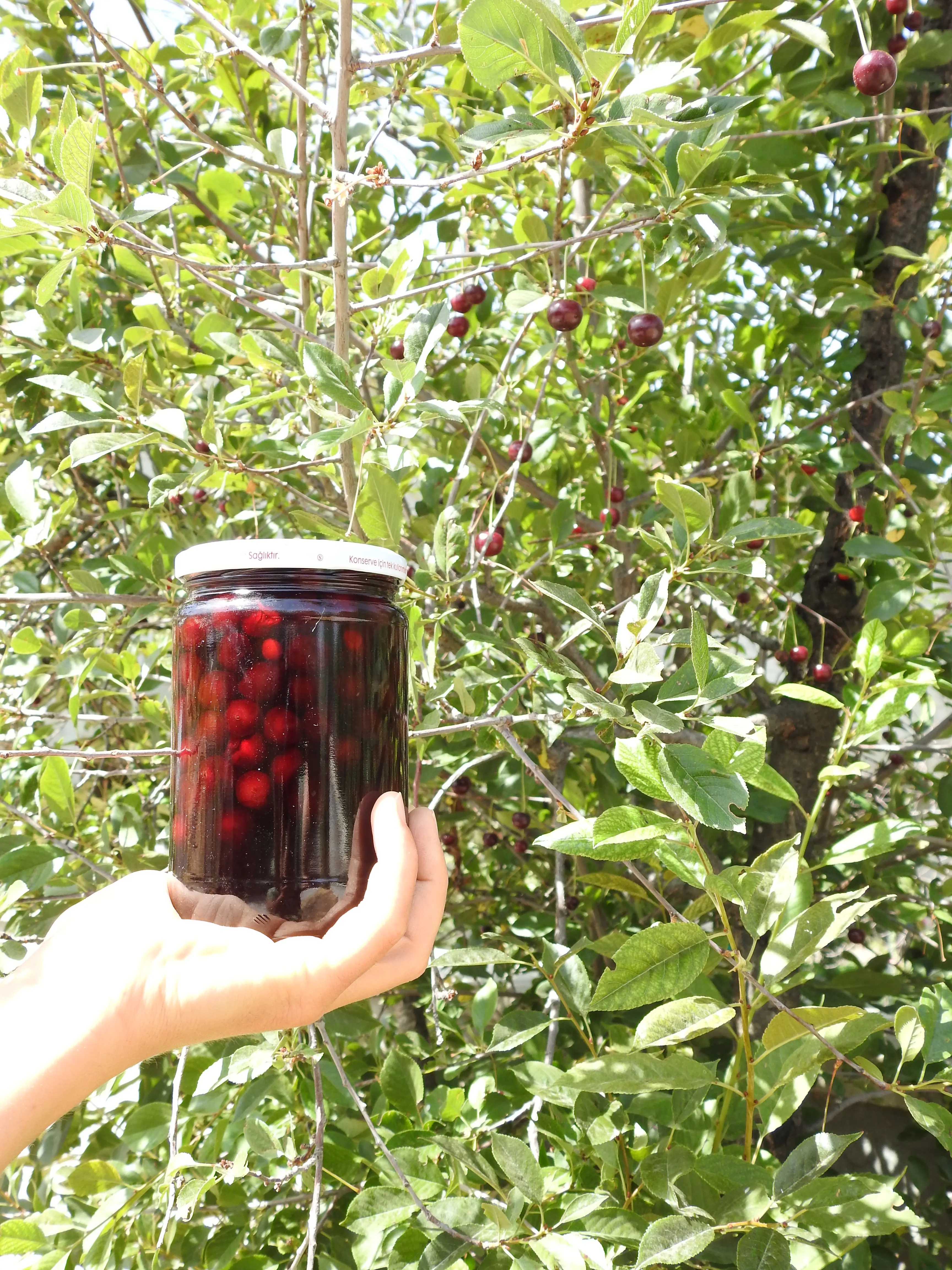 Doğadan Vişne Reçeli 