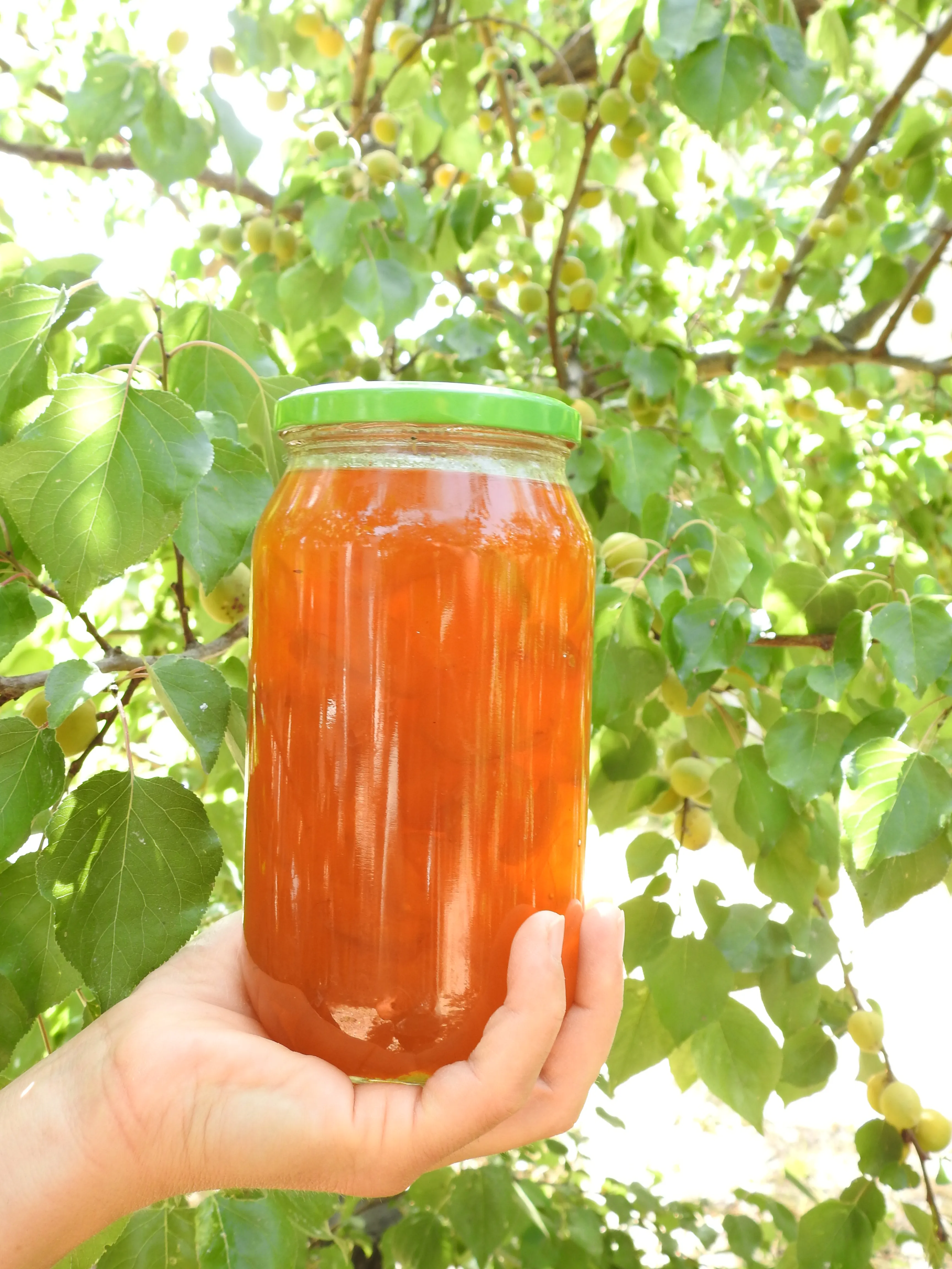 Doğadan Kayısı Reçeli